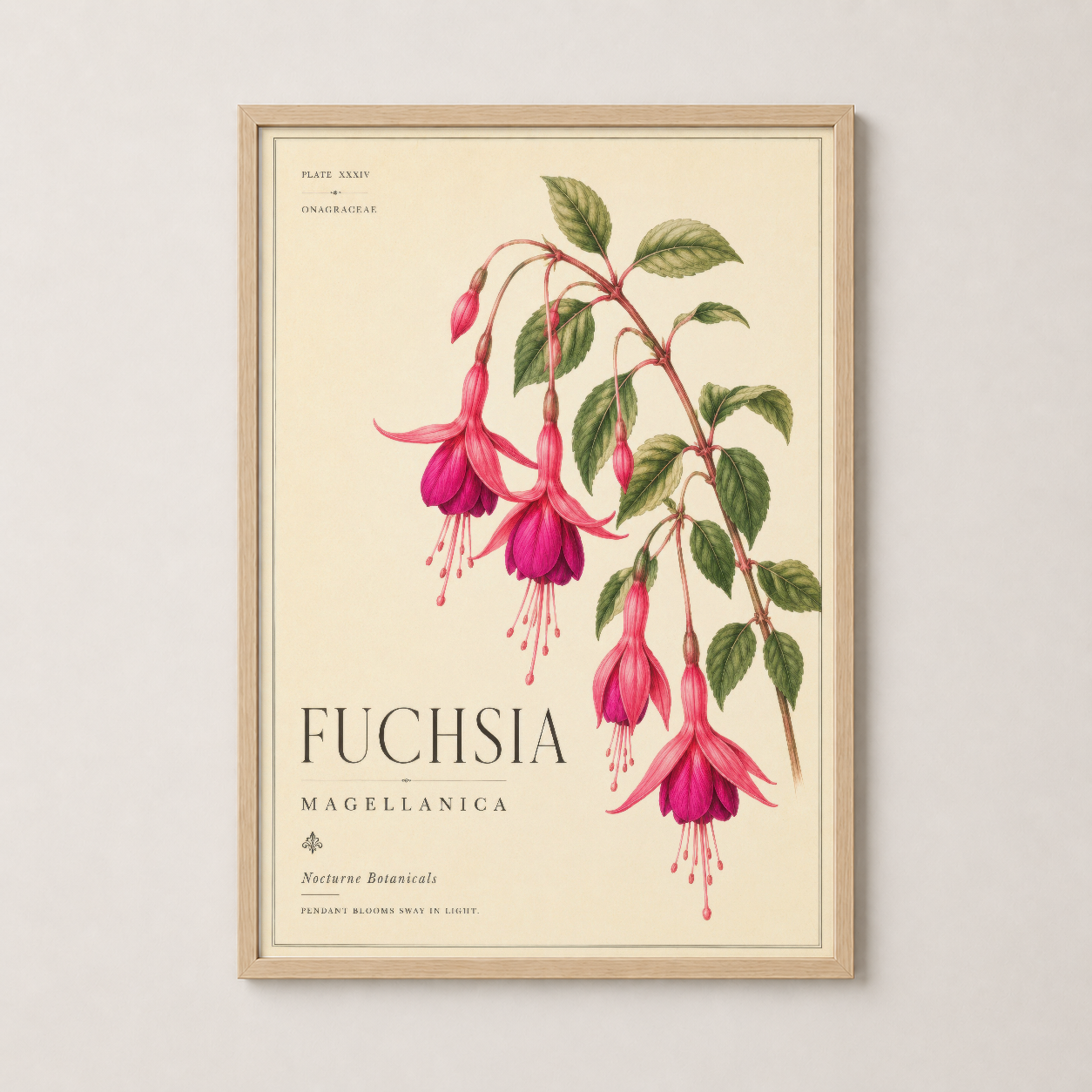 Fuchsia Magellanica sanat eseri, doğal ahşap çerçeve ile, sıcak ve vintage atmosfer yaratır.