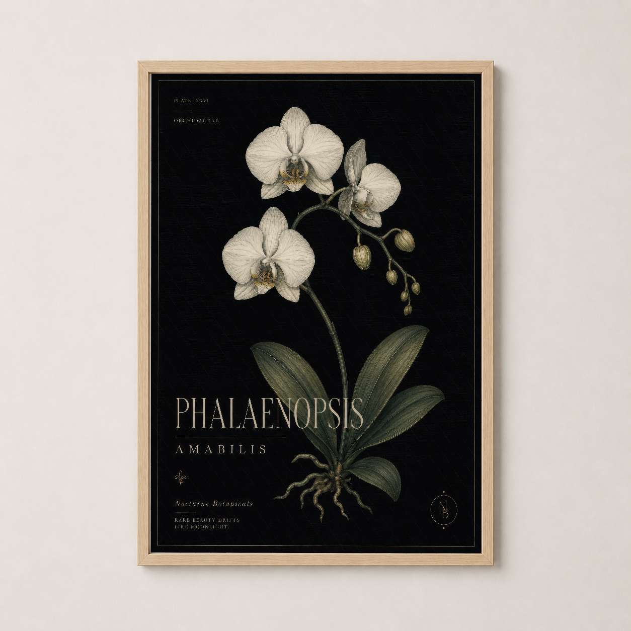 Phalaenopsis Amabilis tablosu doğal ahşap çerçevede, botanik sanat koleksiyonunun etkileyici merkez parçası olarak duvar