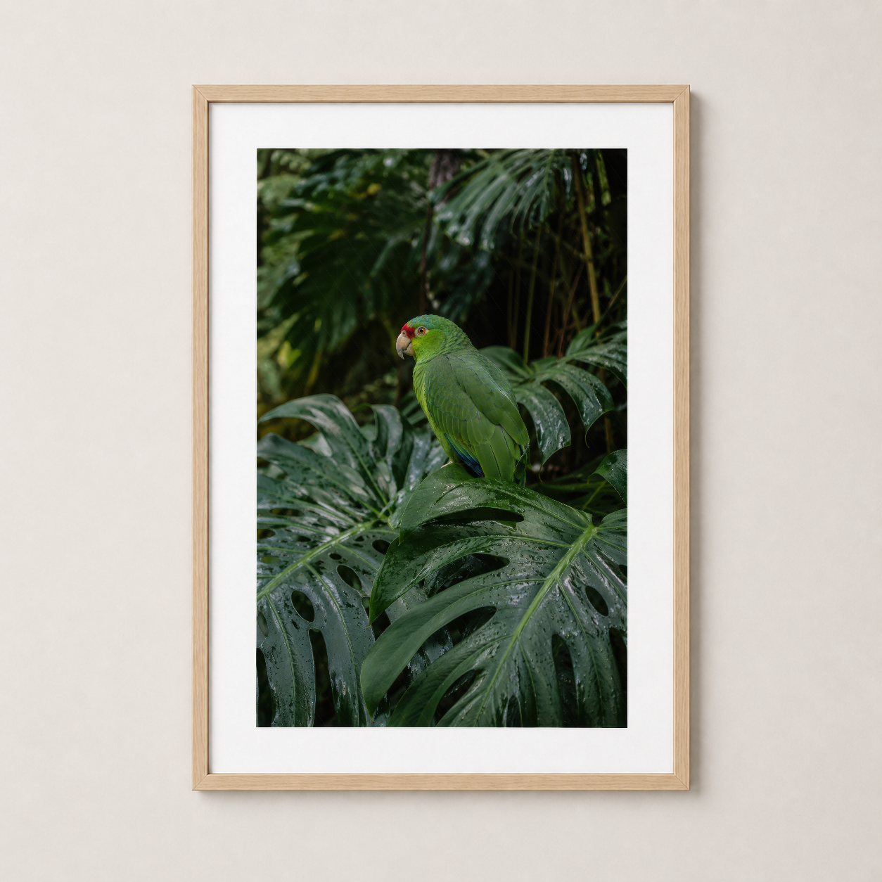 Doğal ahşap çerçevelenmiş tropikal papağan ve monstera yapraklarından oluşan dekoratif poster.