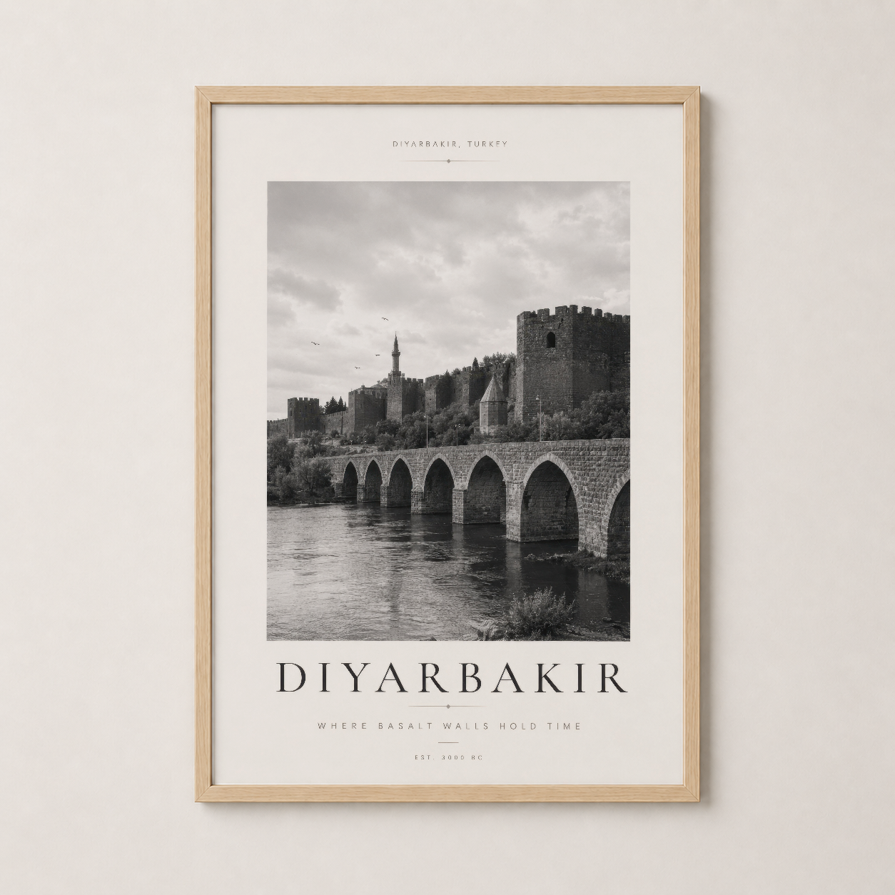 Siyah Beyaz Diyarbakır Kalesi Tarihi Mimari Duvar Tablosu