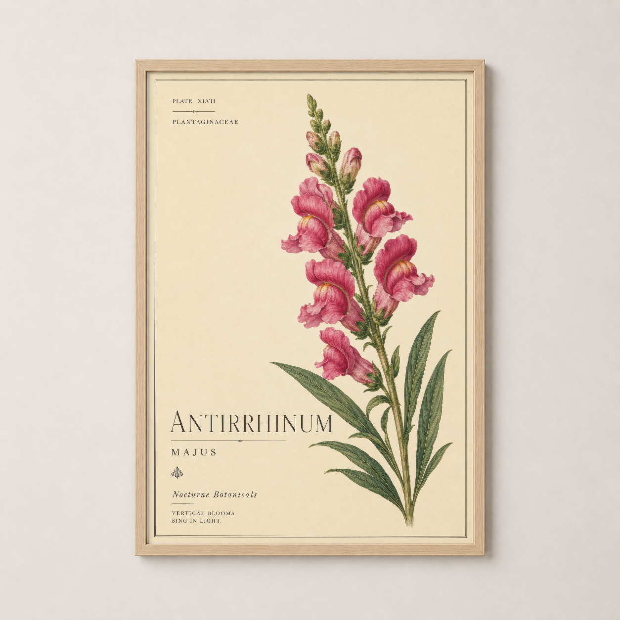 Doğal ahşap çerçevede antirrhinum majus poster, sıcak ve organik bir tablo sunuyor.