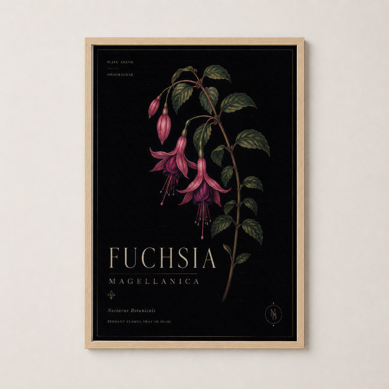 Doğal ahşap cerceveli vintage botanik Fuchsia tablosu, sıcak ve misafirperver ortama katkı.