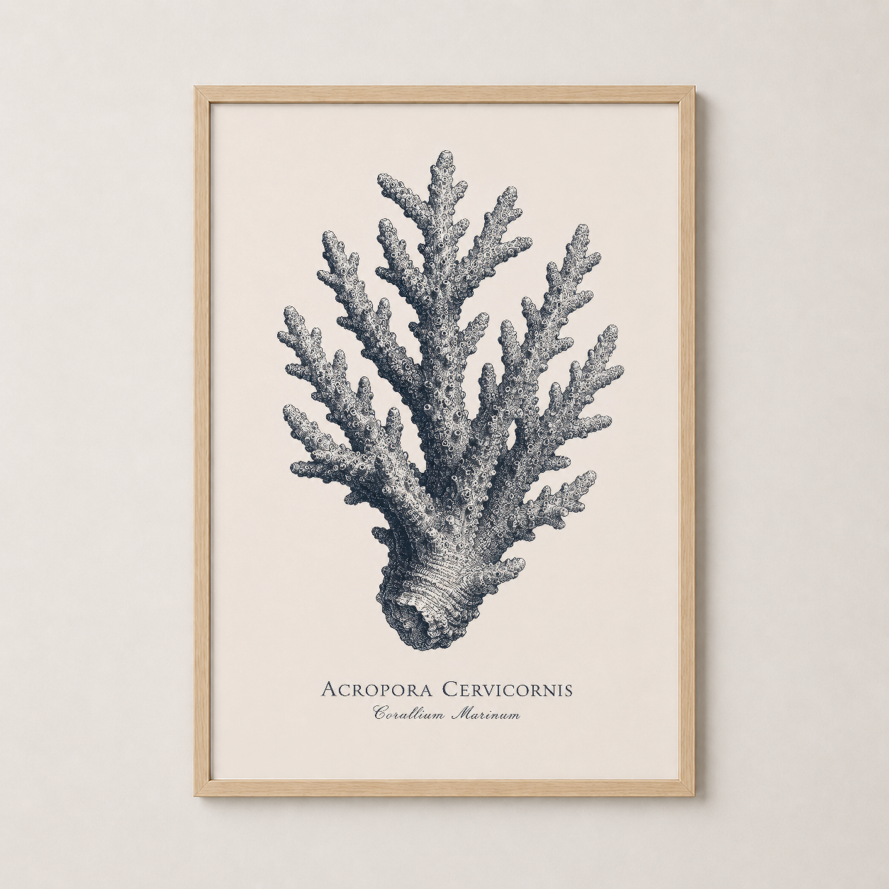Acropora Cervicornis mercan baskısı doğal ahşap çerçevede, sıcak ve organik duvar dekoru.