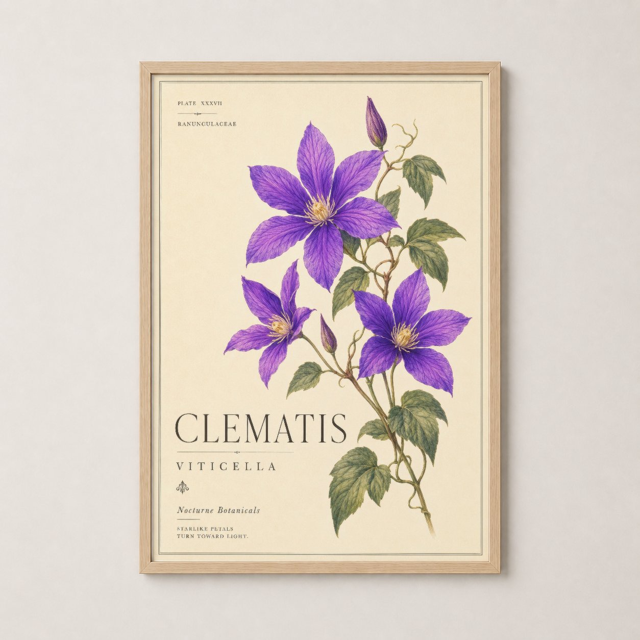 Mor Yeşil Clematis Çiçeği Botanik Duvar Tablosu