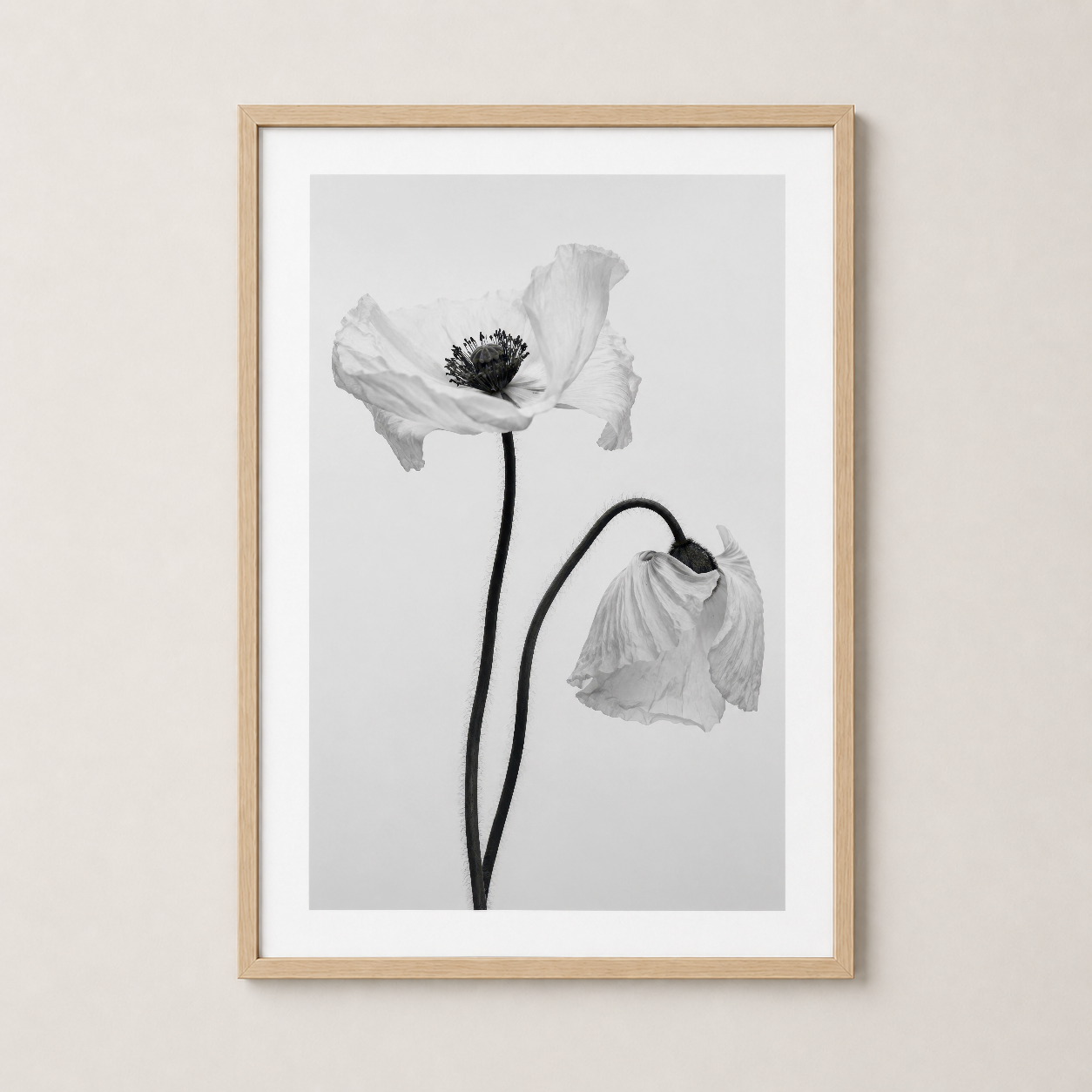 Çerçeveli poster, solmuş çiçek illüstrasyonu, doğal ahşap çerçeve, modern iç dekorasyon.