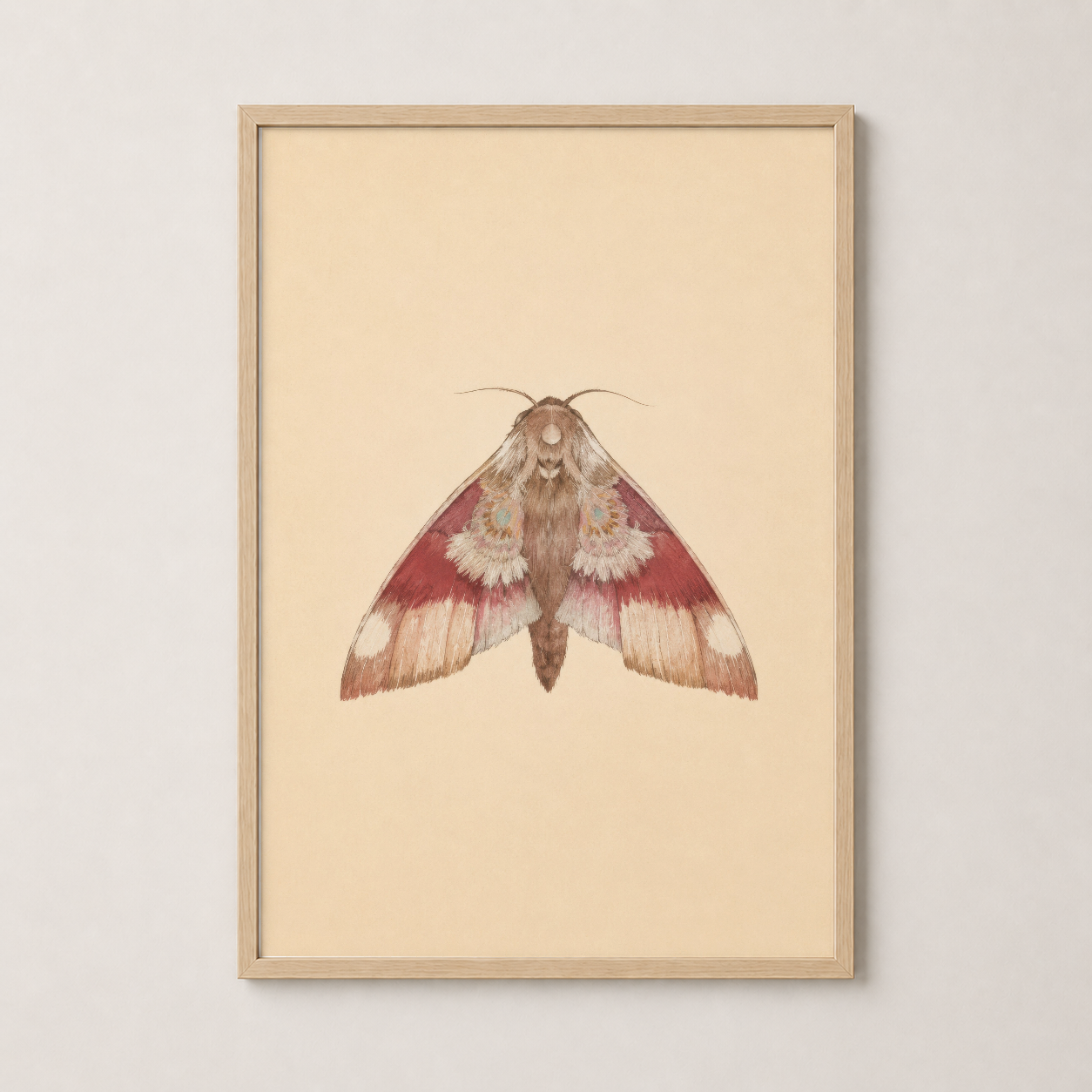 Doğal ahşap çerçevede, warm tonlarıyla ev dekorasyonuna uyum sağlayan entomolojik sanat.