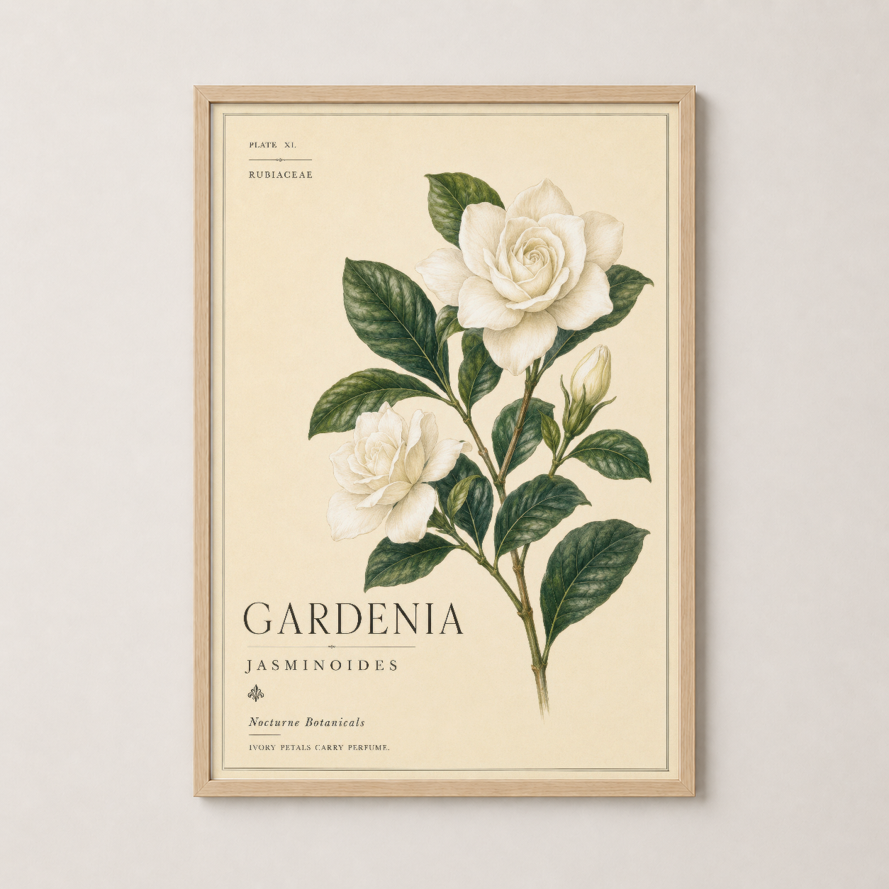 Gardenia Jasminoides duvar tablosu ahşap çerçeveli, doğal tonlarda botanik sanat.