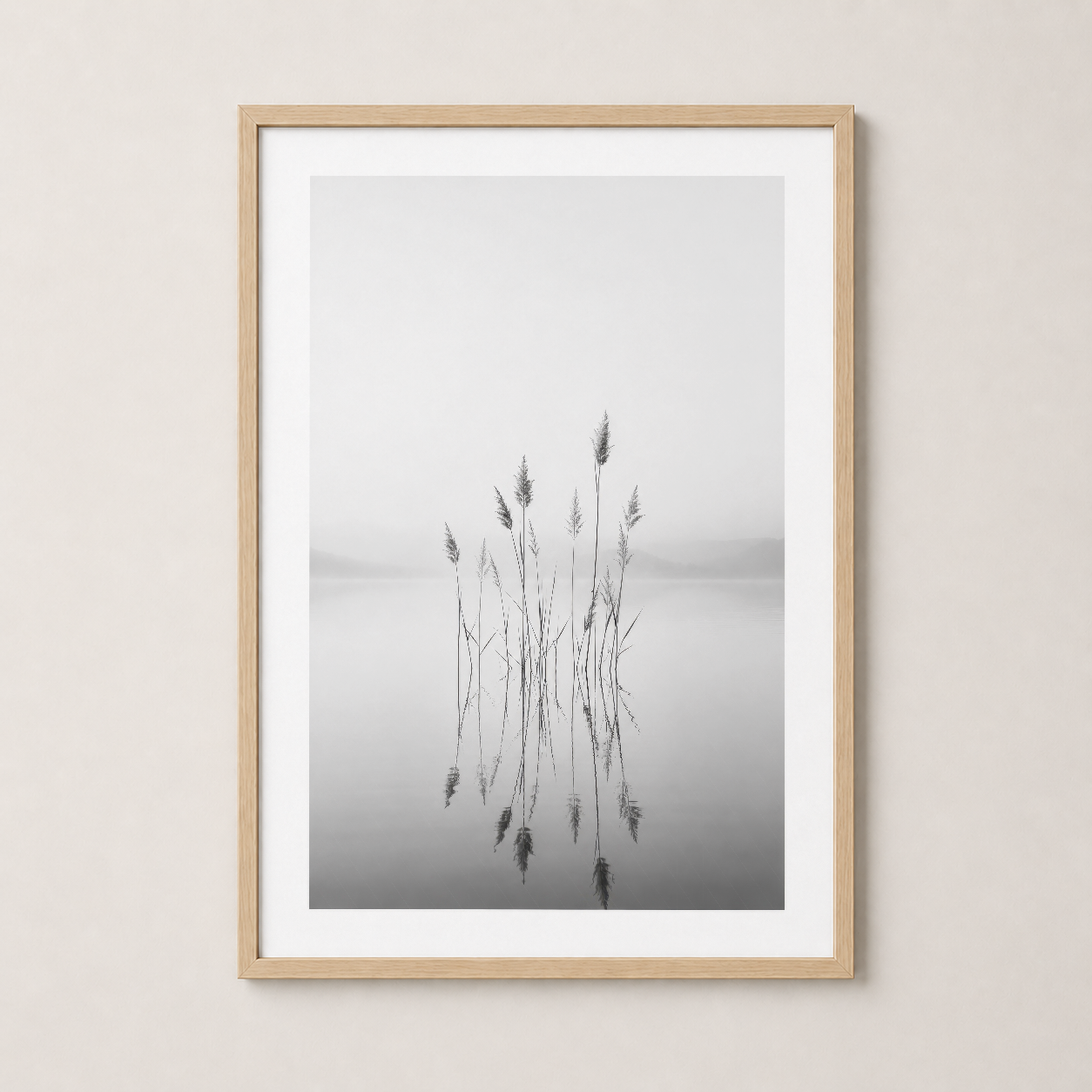 Gri Beyaz Minimalist Kamış Yansıması Doğa Fotoğrafı Duvar Tablosu