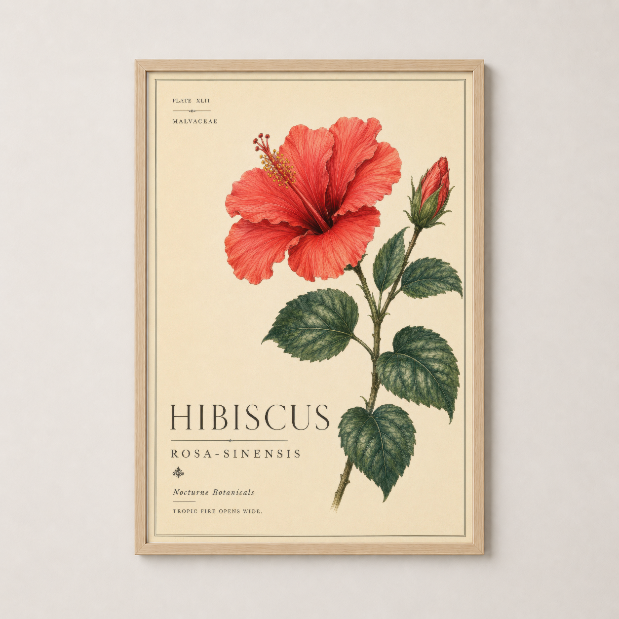 Vintage hibiskus posteri doğal ahşap çerçevede, retro botanik tarzı duvar dekorasyonu.