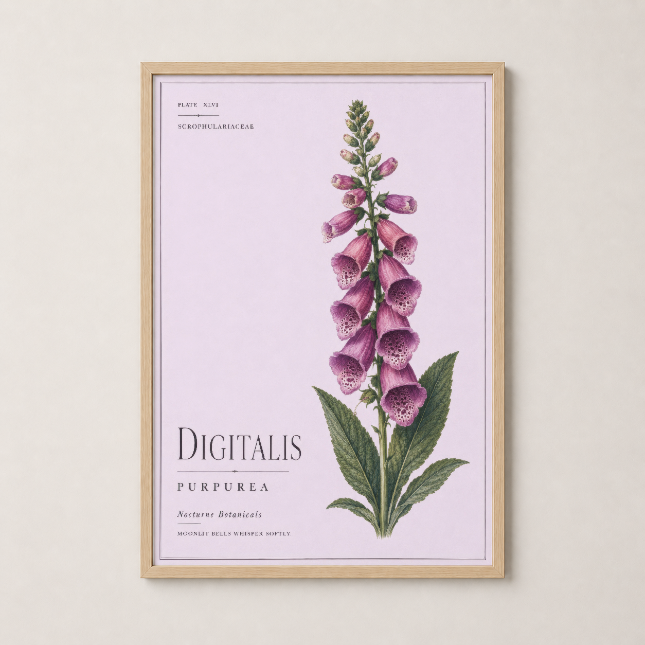 Ahşap çerçeveli, pembe çiçekli Digitalis Purpurea botanik tablosu, sıcak dekoratif aksan.