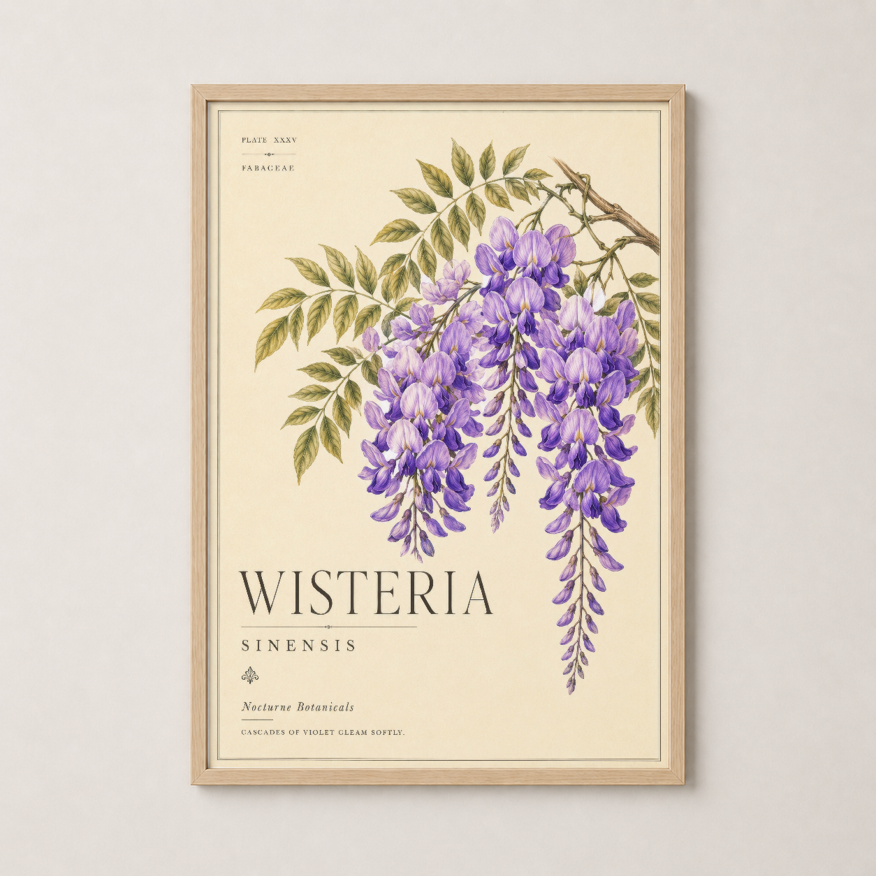 Wisteria Sinensis duvar tablosu, doğal ahşap çerçevede, sakin ve şık botanik illüstrasyonunun kusursuz uyumunu yansıtıyor.