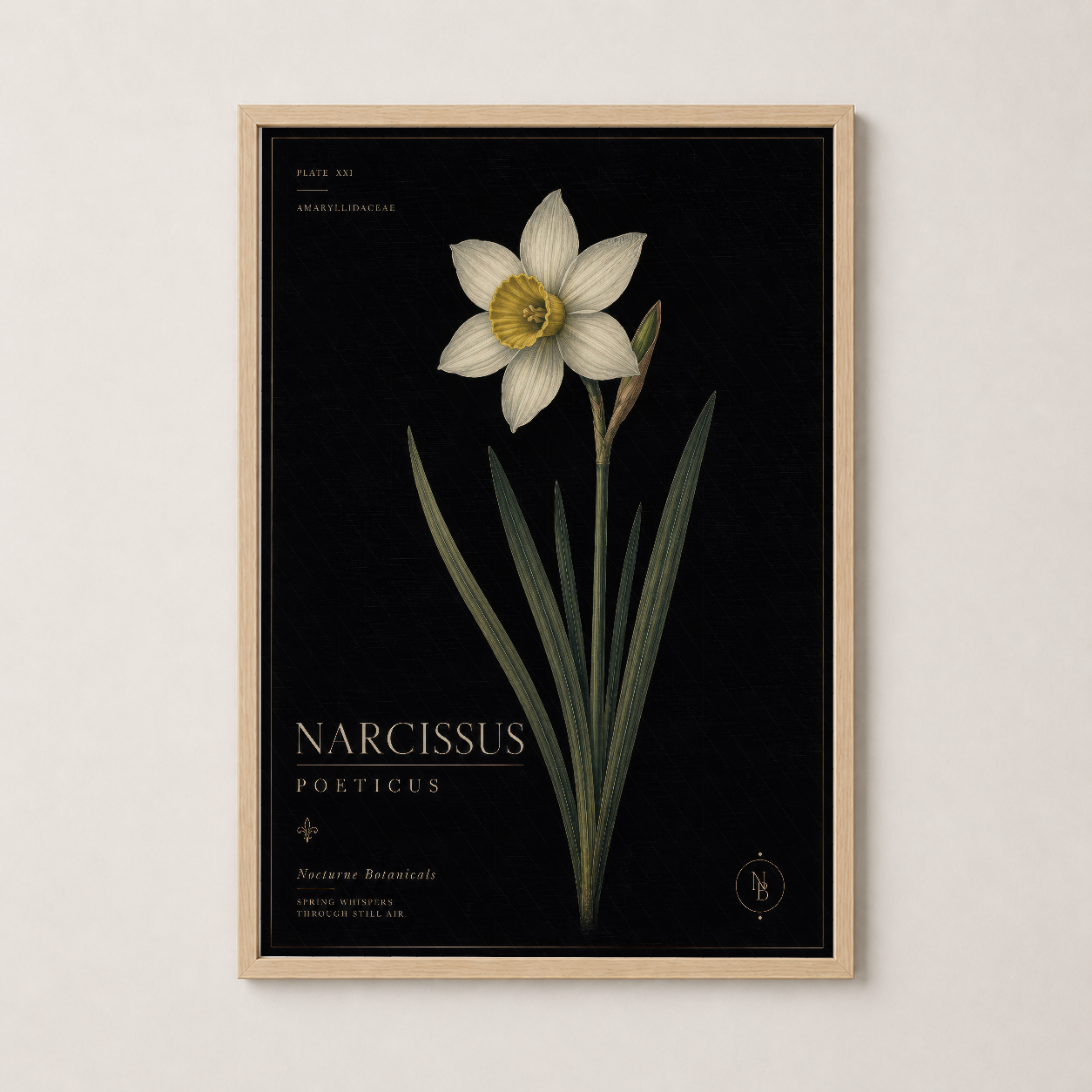 Ahşap çerçeveli Narcissus Poeticus sanat tablosu, botanik illüstrasyon tarzında sofistike dekorasyon.