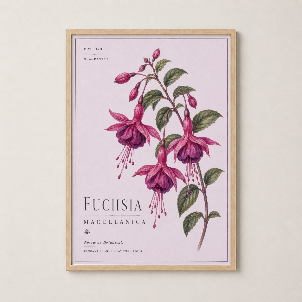 Fuchsia Magellanica tablosu ahşap çerçevede, doğal ve sıcak ortam atmosferi yaratan sanat baskısı.