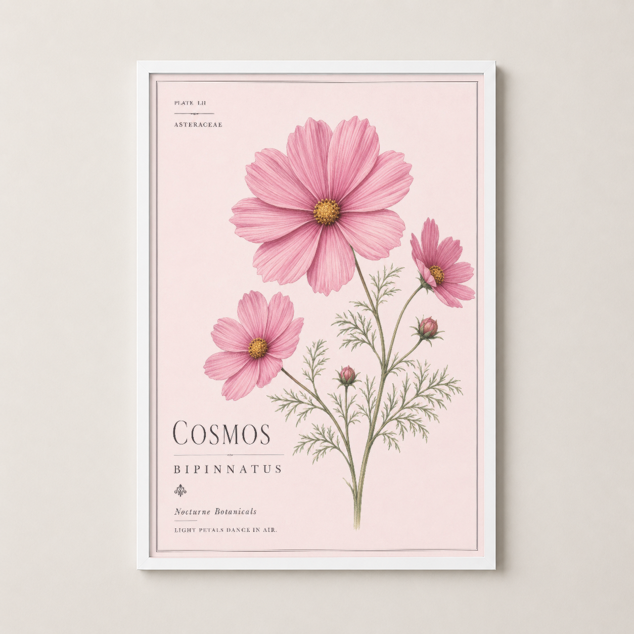 Pembegül cosmos çiçekleri posterinin beyaz çerçevelenmiş hali, odaya hafif ve şık dokunuş katıyor.