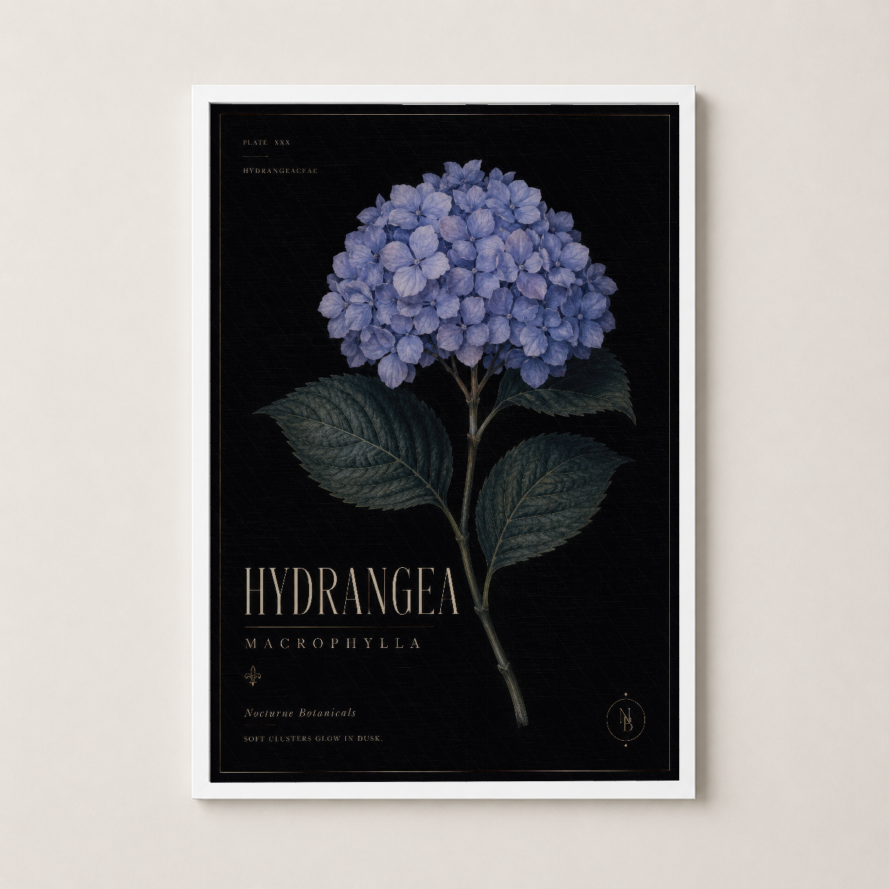 Beyaz çerçeveli mavi hortensiya posteri, elegant botanik sanat eseri.