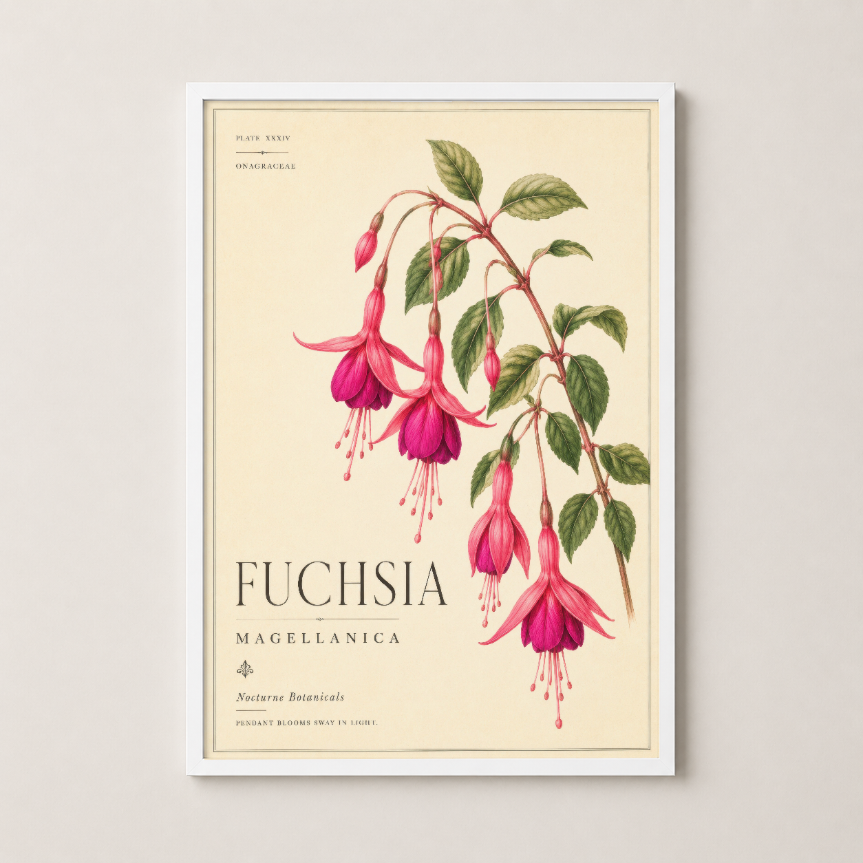 Fuchsia Magellanica duvar tablosu, beyaz çerçeveli, şık ve zarif ev dekorasyonu çözümü.