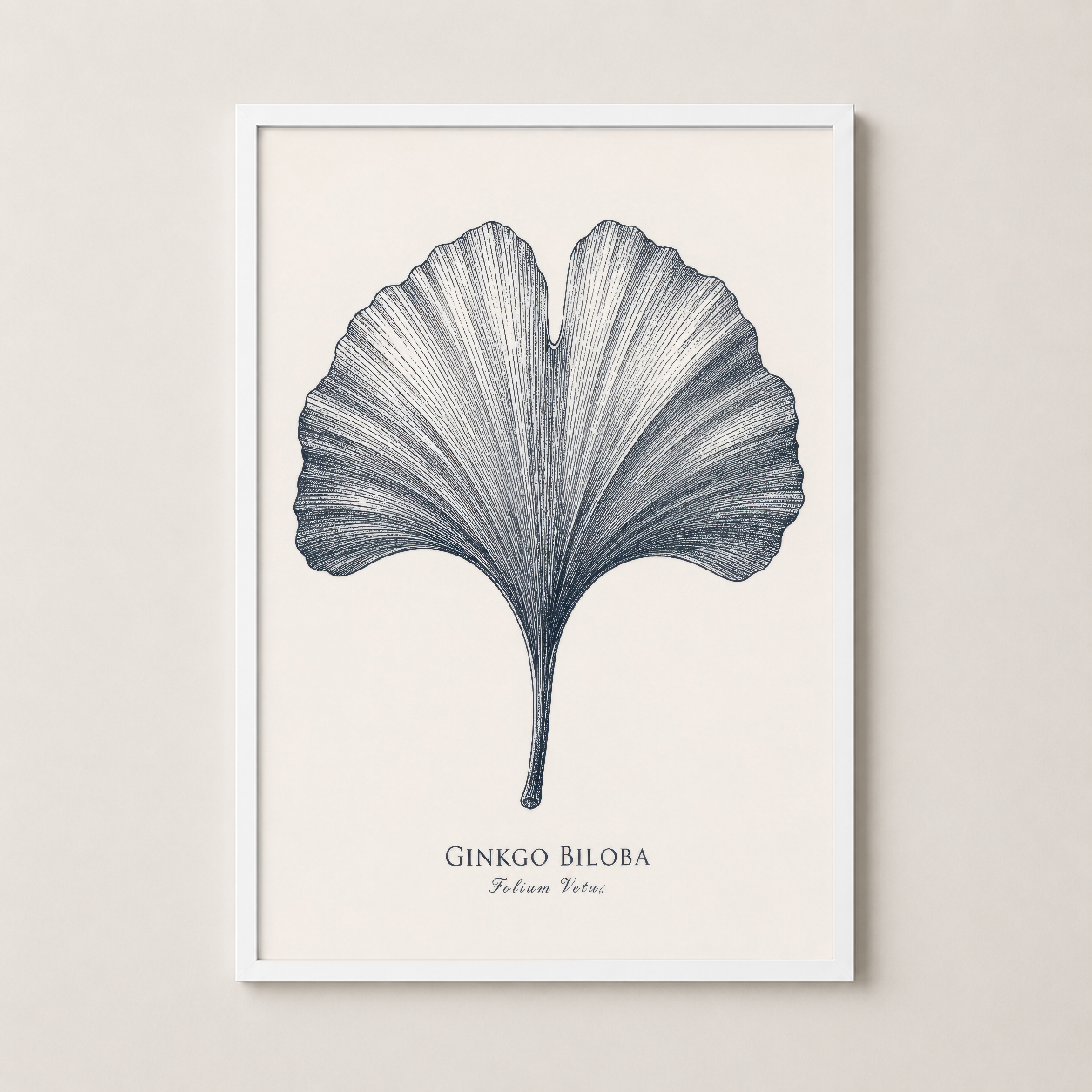 Ginkgo Biloba botanik baskı beyaz çerçeveli, zarif duvar dekorasyonu sanat.