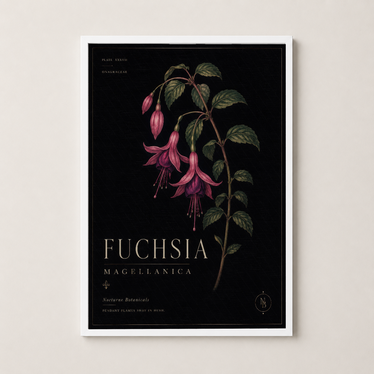 Beyaz cerceveli zarif Fuchsia Magellanica tablosu, modern ve minimalist dekor tarzına uygun.