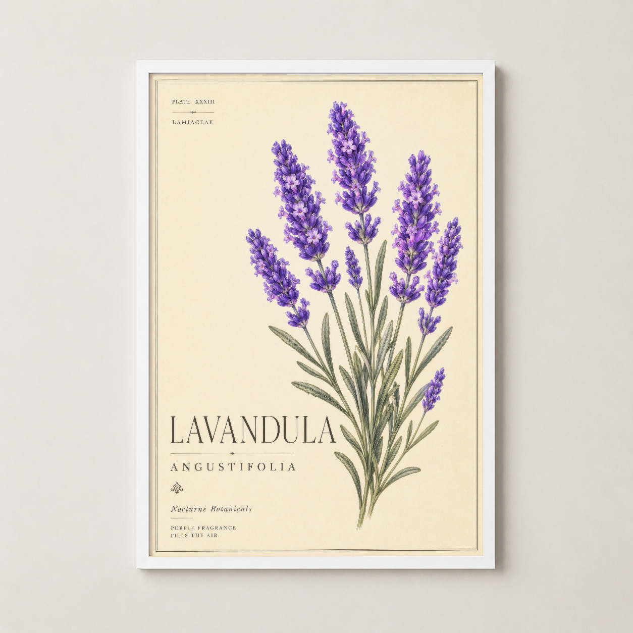Vintage lavanda tablosu, beyaz çerçevede sunulan, klasik botanik tasarım duvar dekorasyonu.
