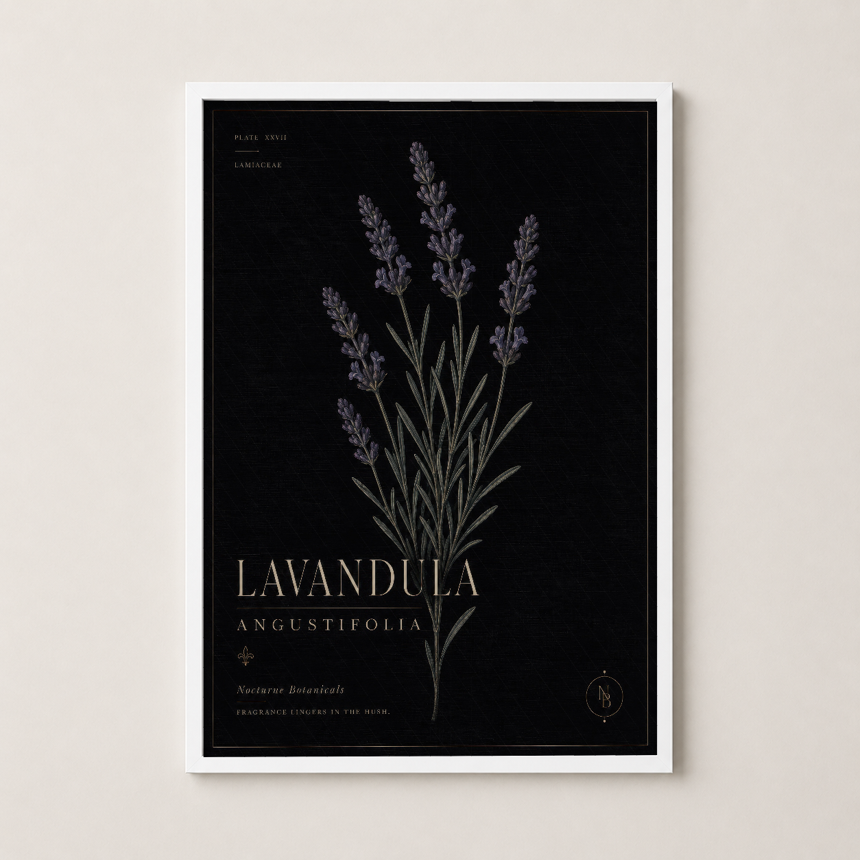 Lavandula Angustifolia tablosu beyaz çerçeveli, minimal tasarım ile her ortamda uyumlu estetik.