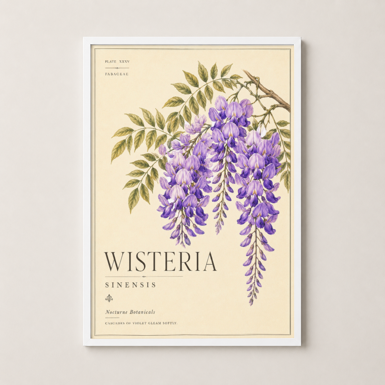 Wisteria Sinensis tablosu, beyaz çerçeveliyle klasik-modern bir görünüm sunan, lüks iç mekan dekorasyonu için ideal botanik