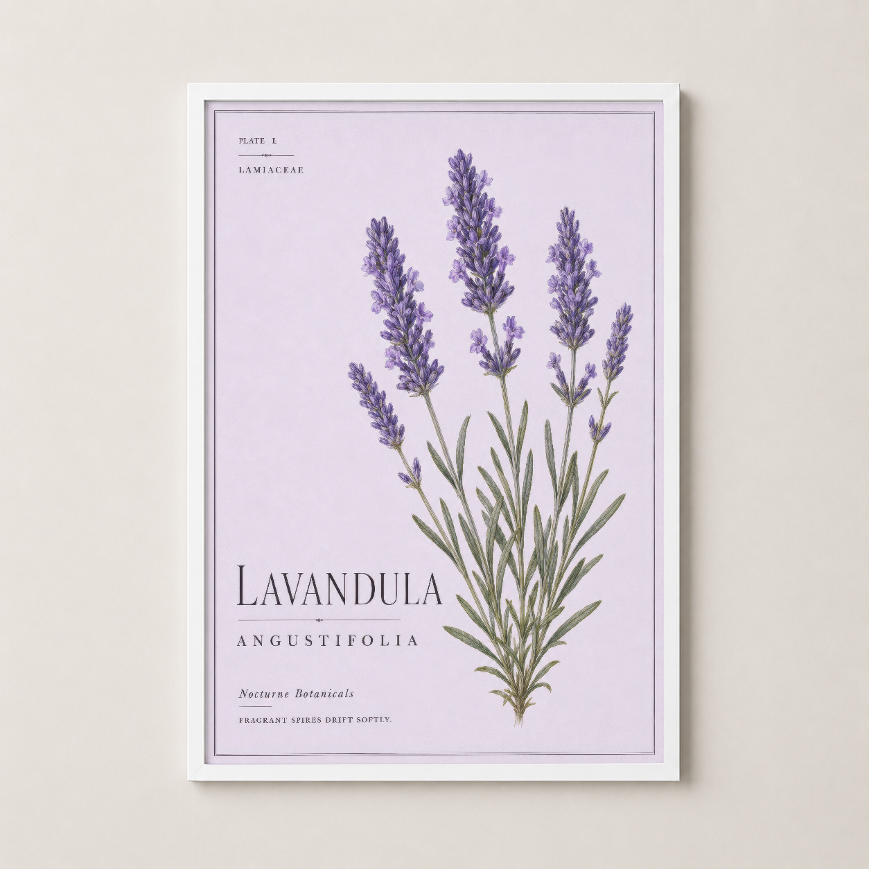 Lavandula Angustifolia tablosu beyaz çerçevede, temiz ve minimalist bir görünüm.