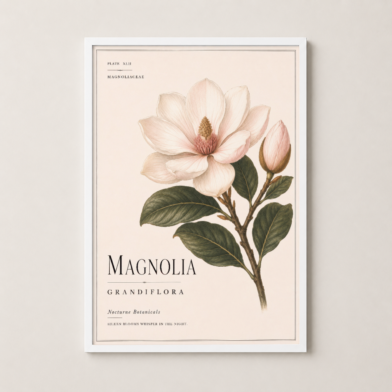 Beyaz çerçeveli magnolia baskısı, yumuşak çiçek detayları ve latince ismendirme ile ince sanat eseri.