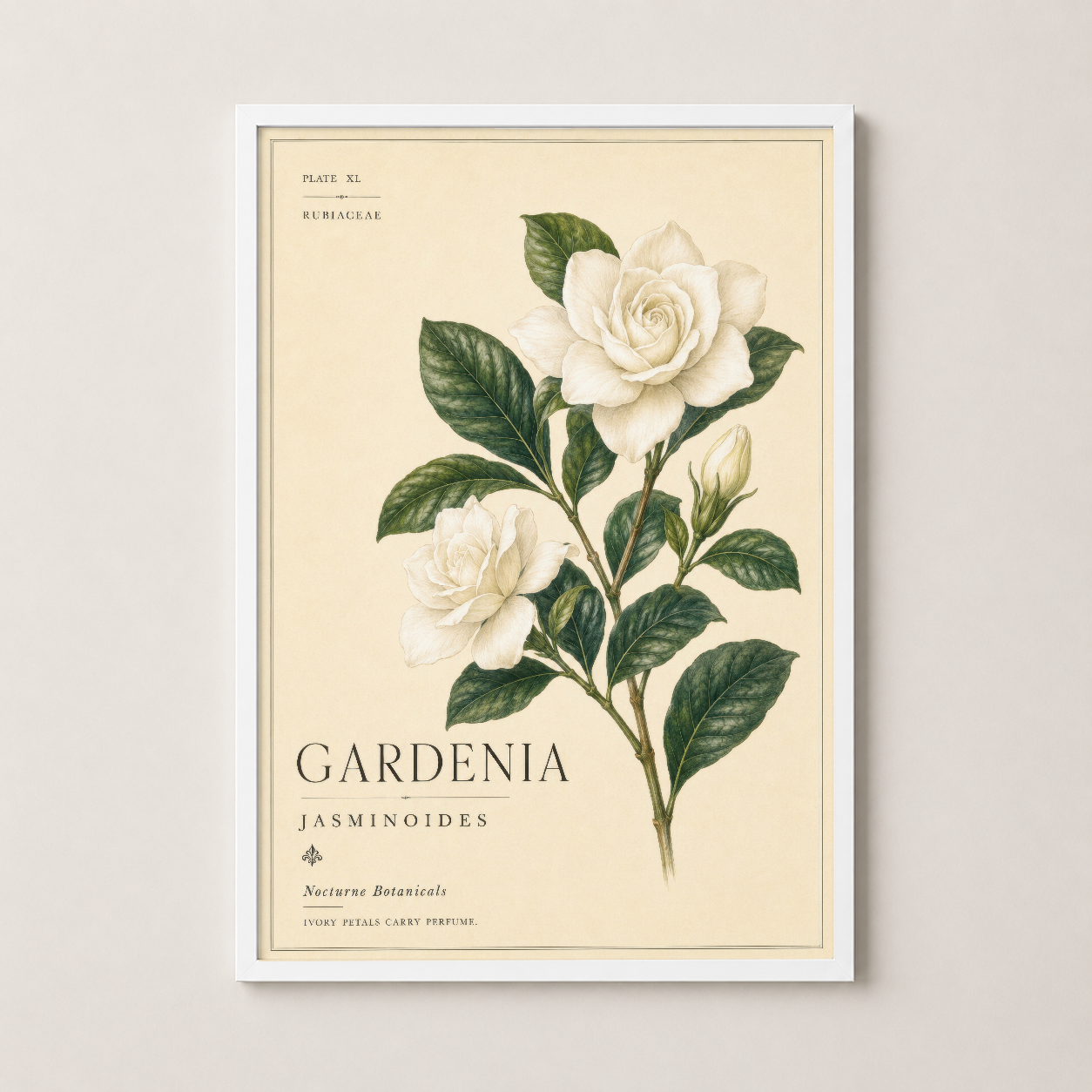 Gardenia Jasminoides tablosu beyaz çerçevede, zarif botanik tasarım koleksiyonu.