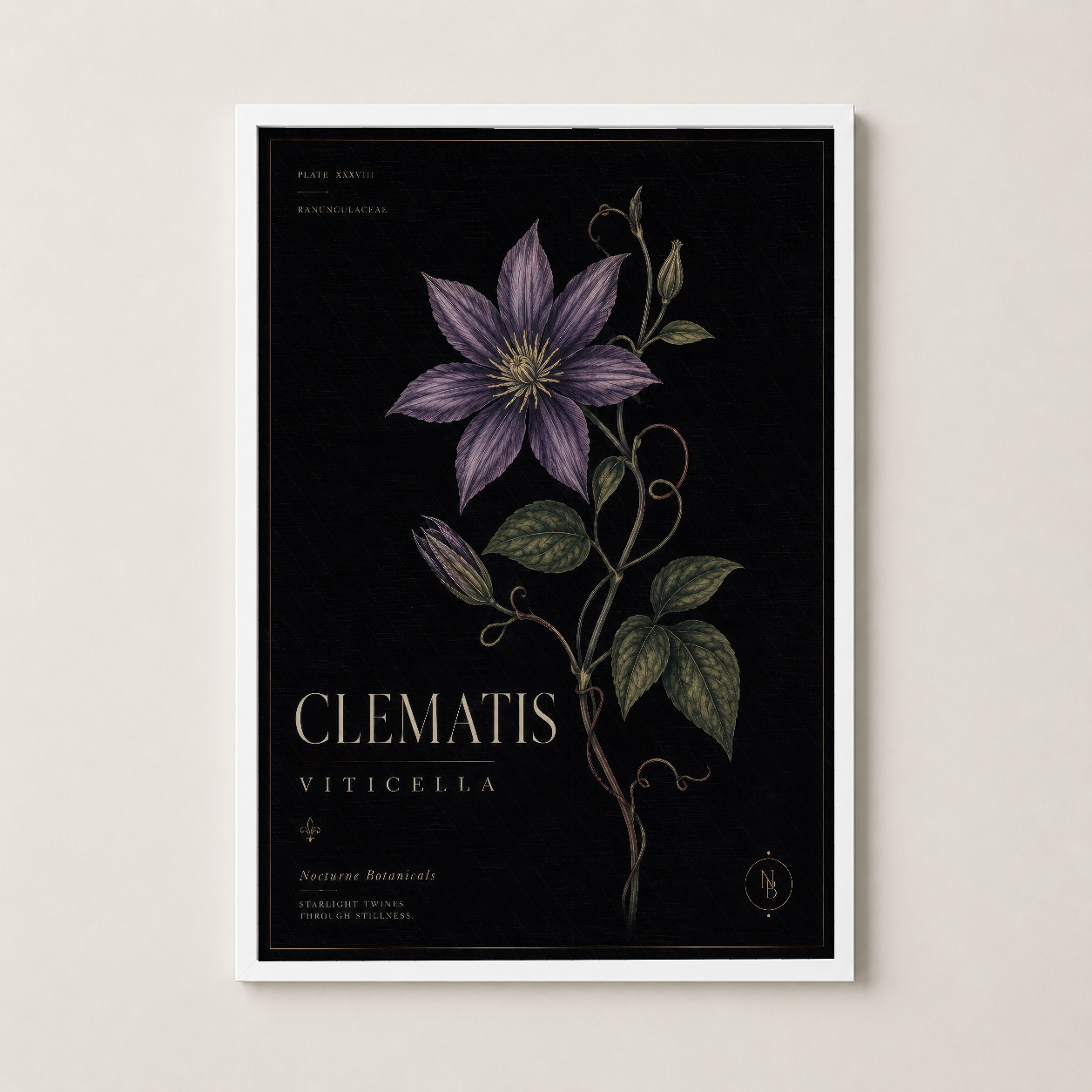 Beyaz çerçeveli clematis tablosu, vintage botanik illüstrasyonun modern ev dekorasyonunda yer alması.