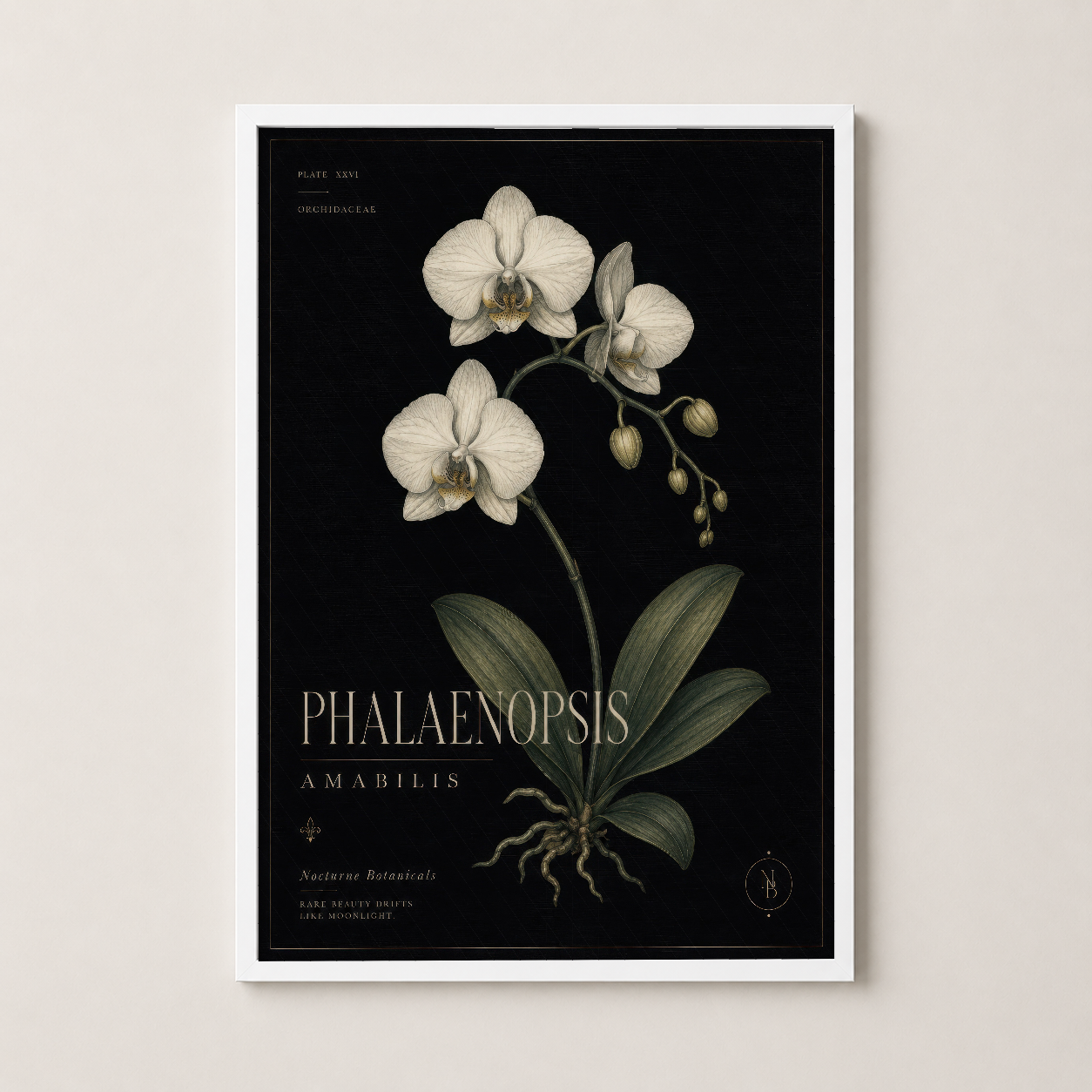 Vintage botanik Phalaenopsis orkide tablosu beyaz çerçevede, siyah zemin üzerinde ışıl ışıl çiçek detayları ile yaşam