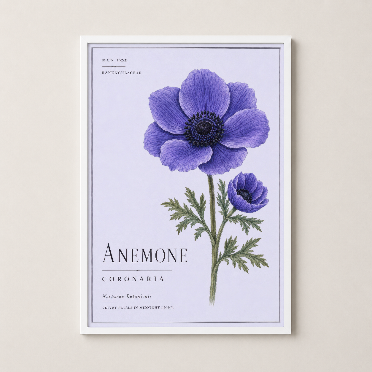 Beyaz çerçeveli botanik anemone posteri, minimalist ve ışık dolu bir yaşam alanında asılmış.