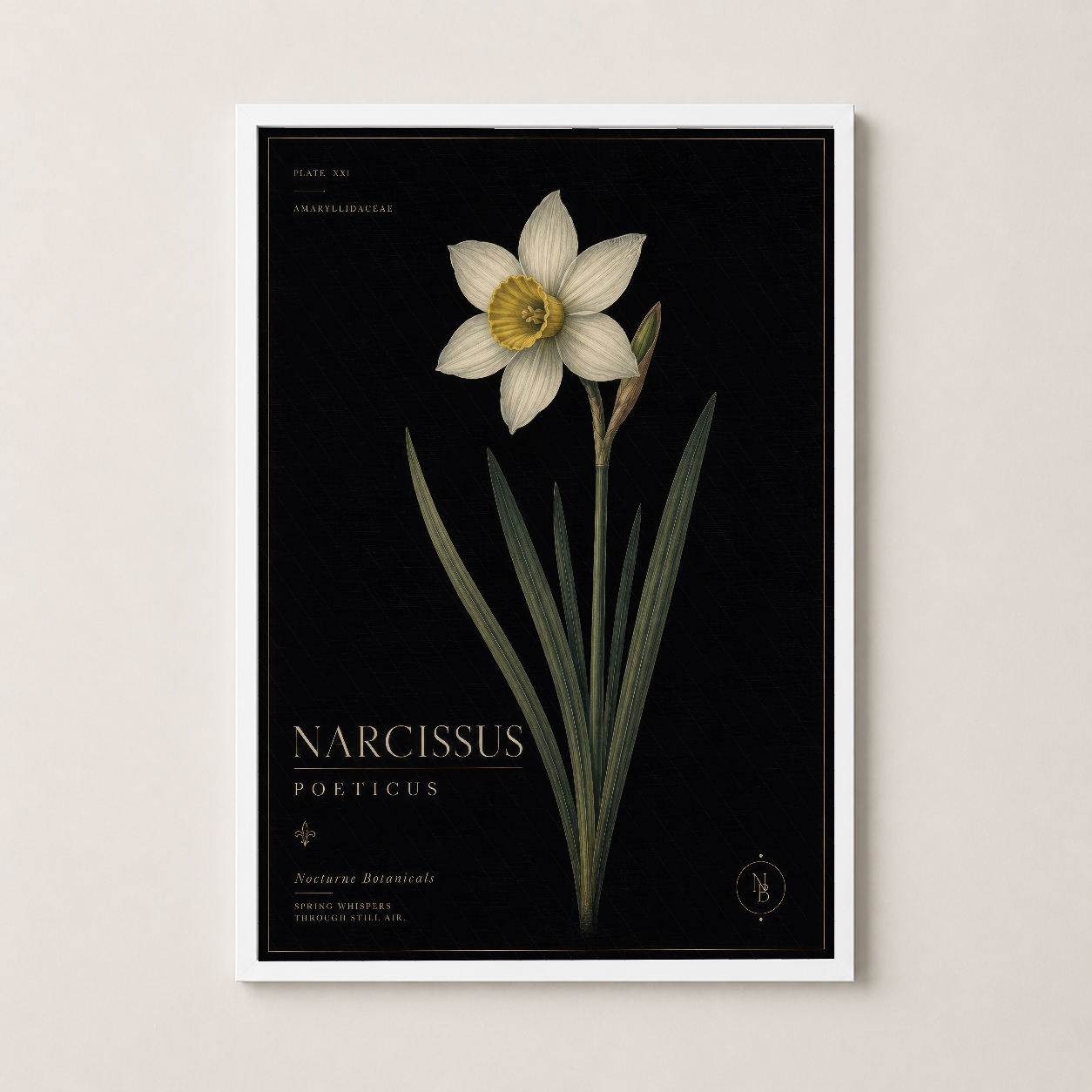 Beyaz çerçeveli Narcissus Poeticus tablosu, siyah arka planda detaylı çiçek ve bitki tasarımı.