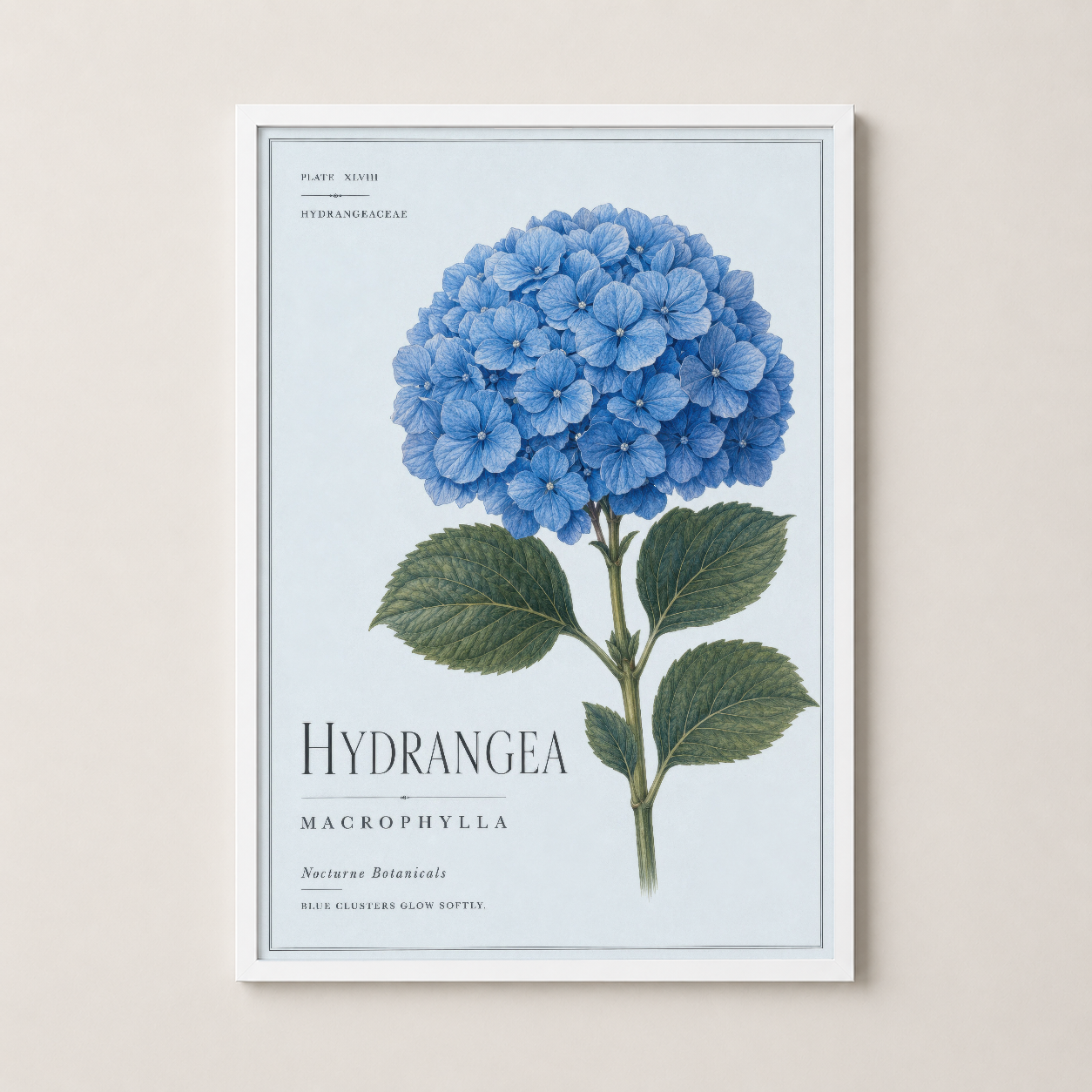 Beyaz çerçeveli vintage hortensia baskısı, zarif ve minimalist bir dekorasyon seçeneği.
