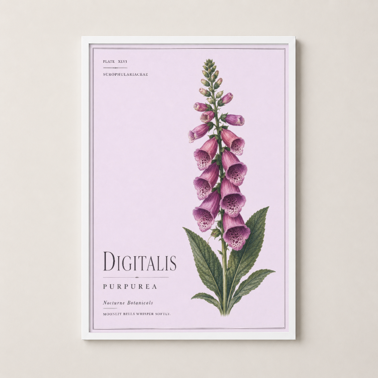 Beyaz çerçeveli, pembe çiçekli Digitalis Purpurea botanik tablosu, şık duvar sanatı.