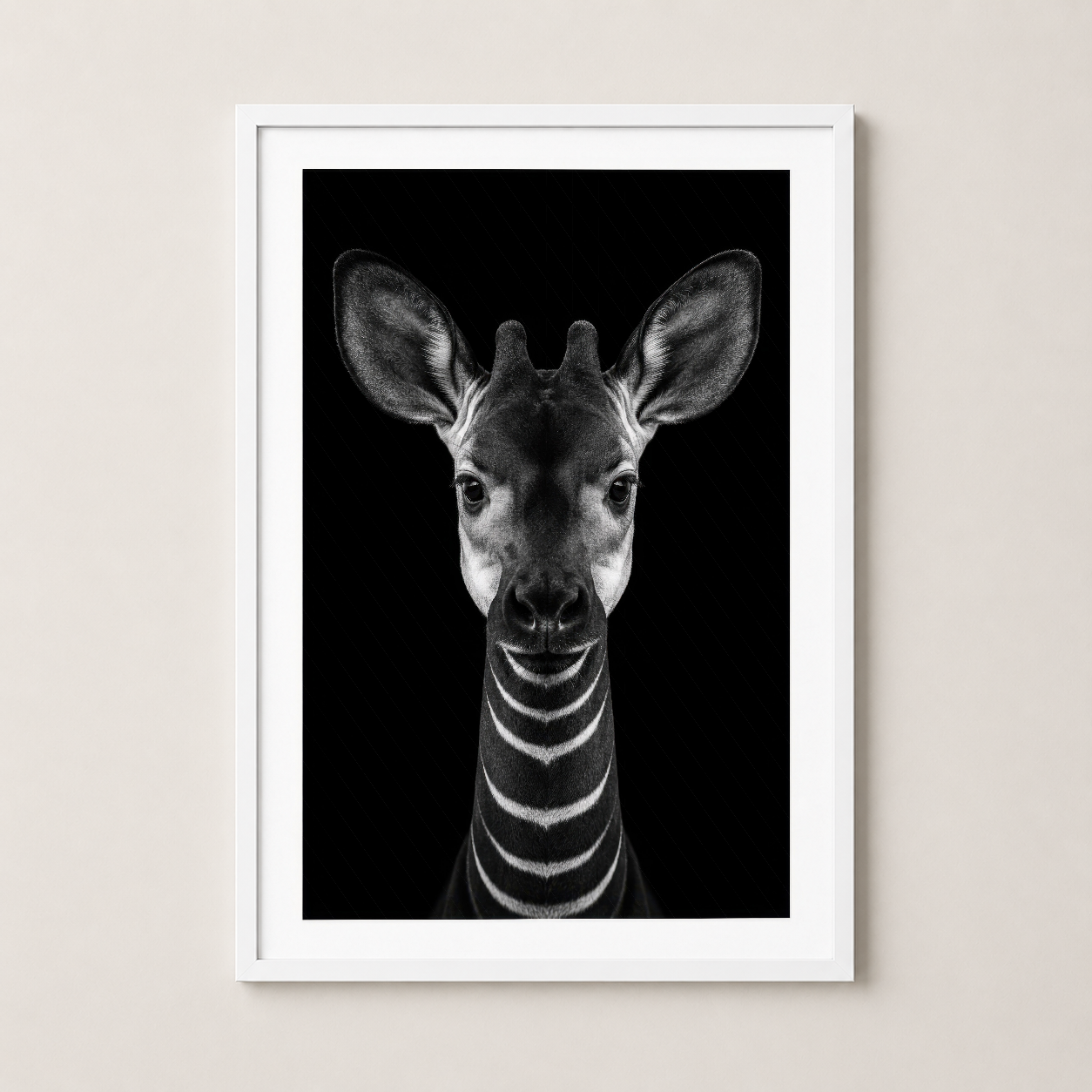 Zebra portresi beyaz çerçeveli, sanat deco tarzında siyah fonda hayvan başı teması taşıyan duvar tablosu.