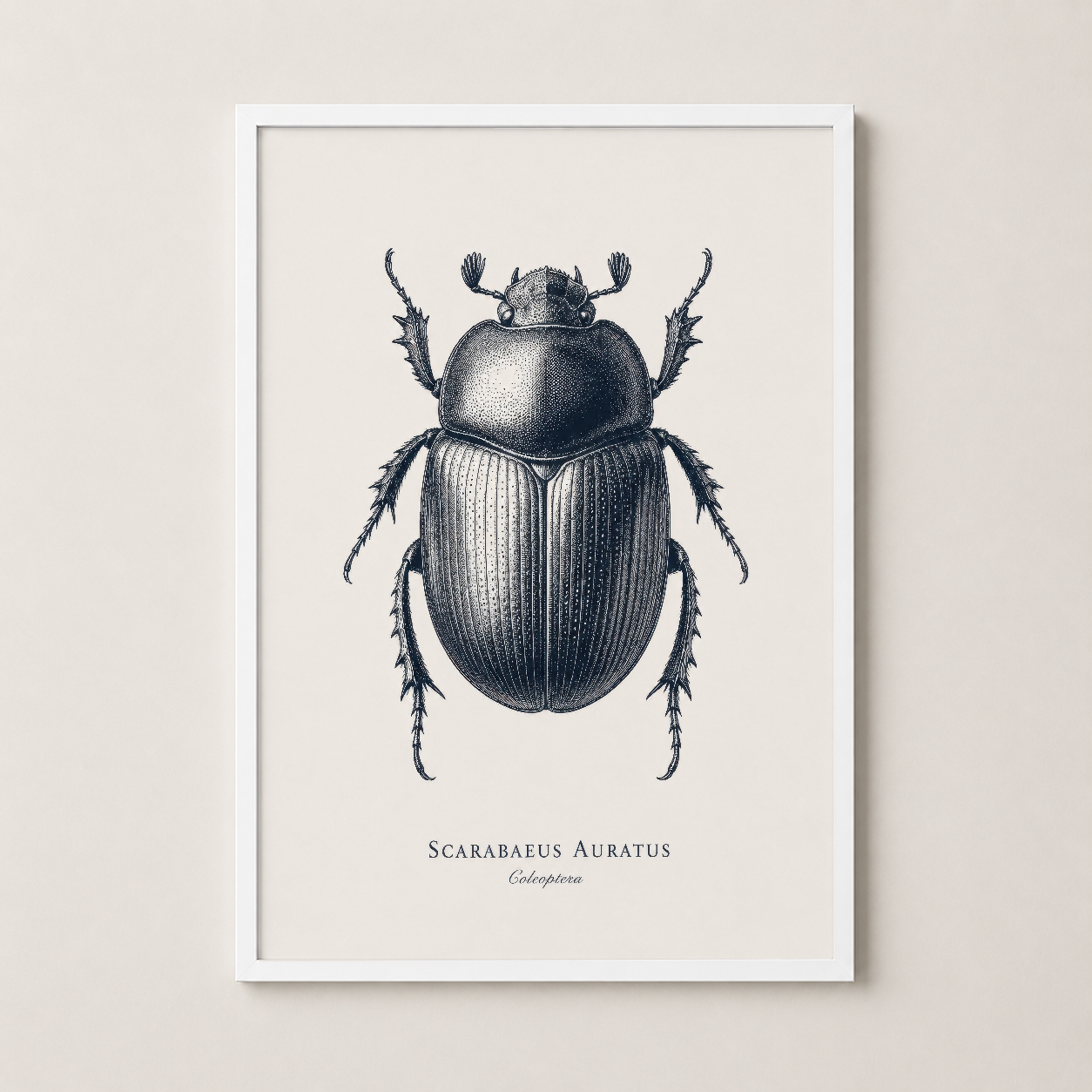 Beyaz çerçeveli poster, doğa bilimleri temalı skarabeus tasarımı ile modern salon dekorasyonu.