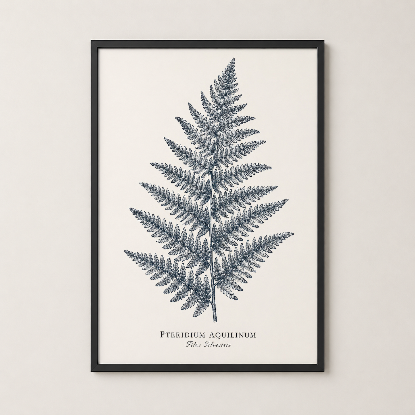 Pteridium aquilinum eğrelti otu posteri siyah çerçevede, minimalist botanik illüstrasyon, asma hazır.