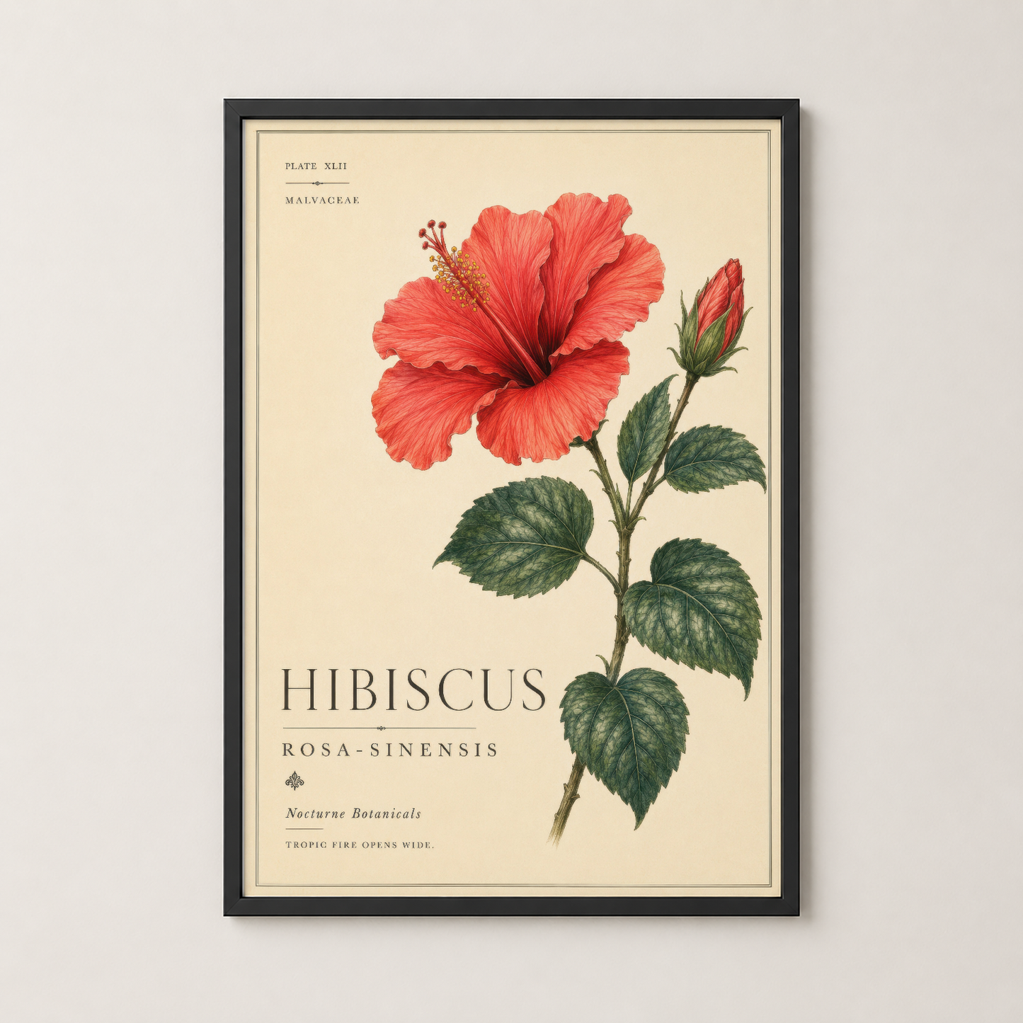 Hibiskus botanik tablosu siyah metal çerçevede, klasik sanat baskısı tarzında dekoratif duvar panosu.