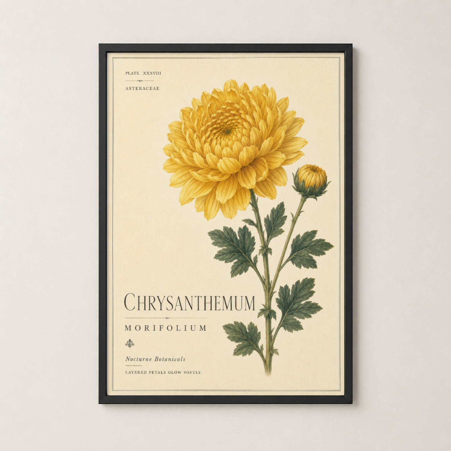 Sarı chrysanthemum tablosu siyah çerçevede, modern ev dekorasyonunda duvar sanatı olarak sergileniyor.