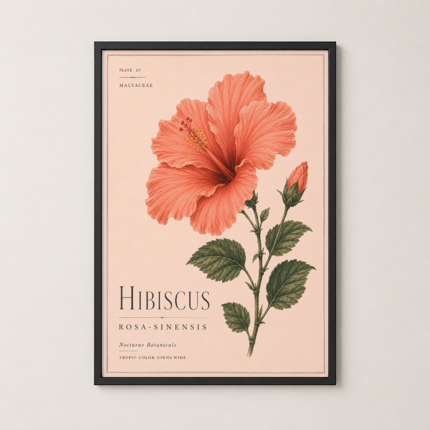 Siyah çerçeveli hibiskus tablosu, botanik sanat koleksiyonunun sofistike bir sunumu ve modern iç mekana mükemmel uyum.