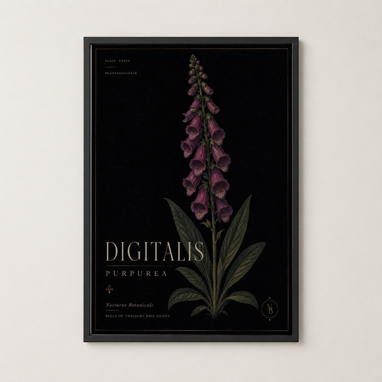 Mor digitalis çiçekli botanik tablosu siyah çerçeve içinde, şık ve modern bir dekorasyon parçası.