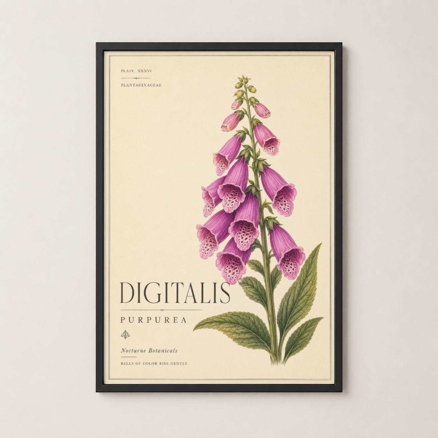 Siyah çerçeveli Digitalis Purpurea poster, modern ve klasik tasarımın mükemmel birleşimi.