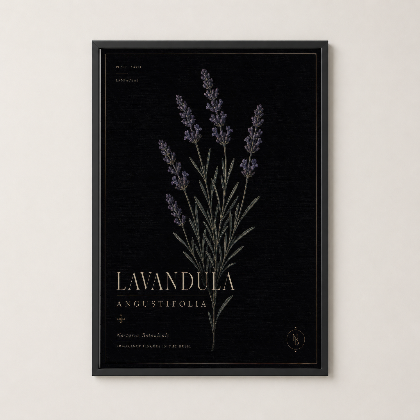Lavandula Angustifolia tablosu siyah çerçeveli, botanik sanat eserinin zarif ve modern sunumu.