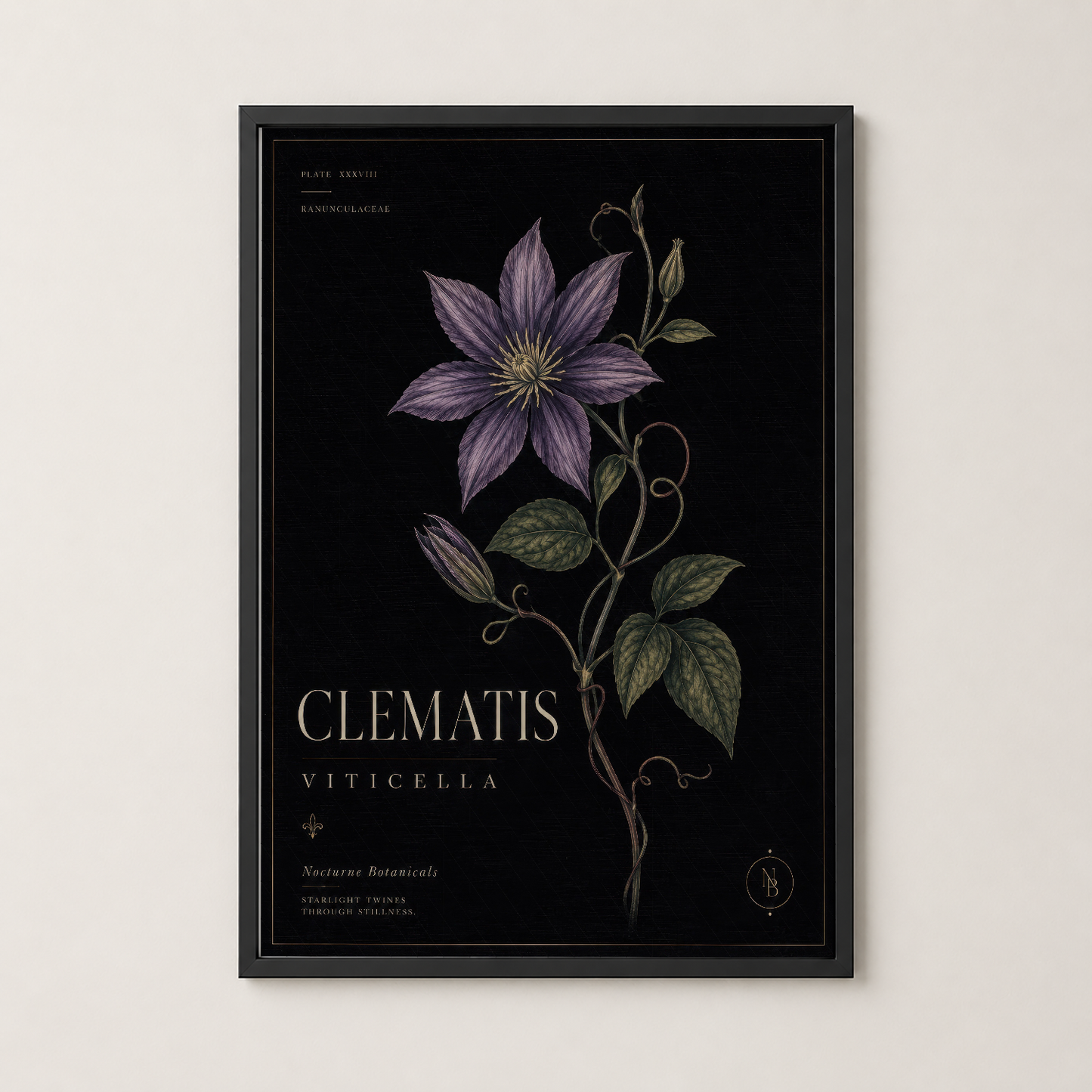 Siyah çerçeveli clematis viticella tablosu, mor çiçek ve yeşil yapraklarıyla zarafet saçıyor.