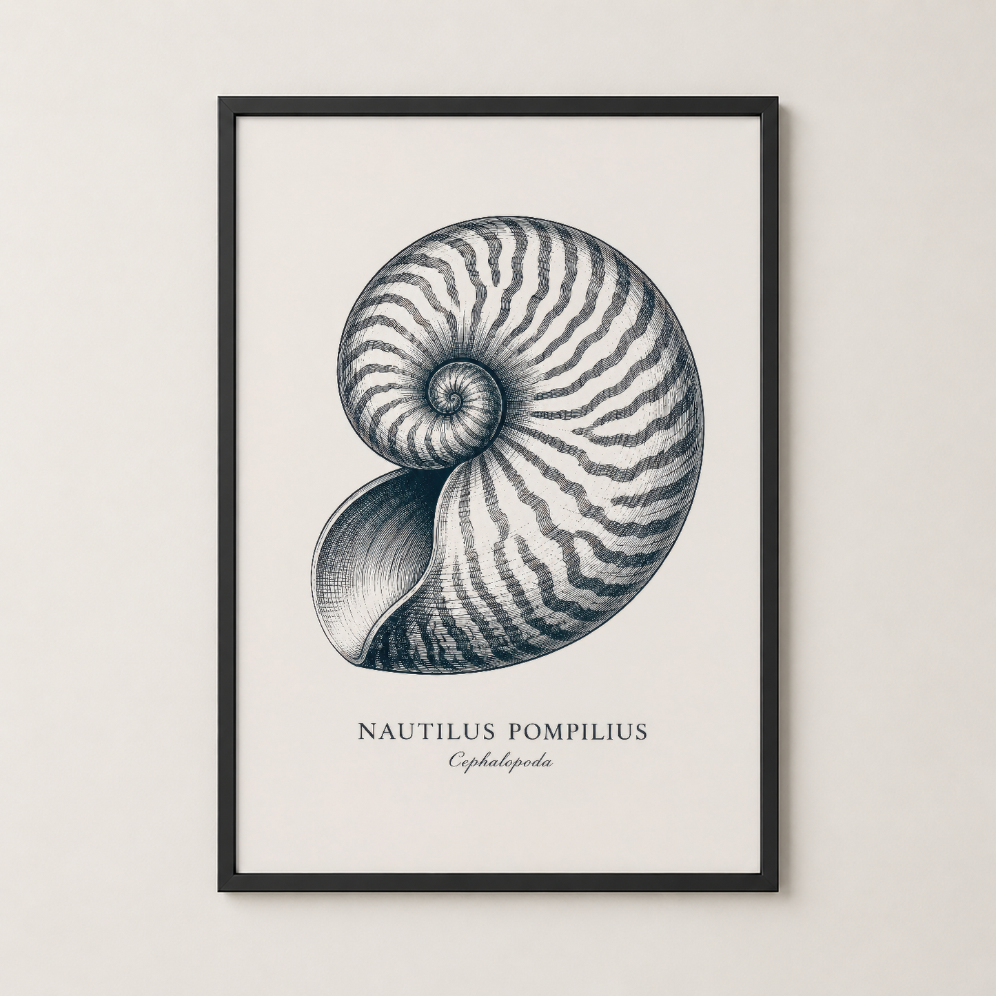 Siyah çerçeveli nautilus tablosu, modern iç mekanlar için zarif deniz canlısı sanat posteri.