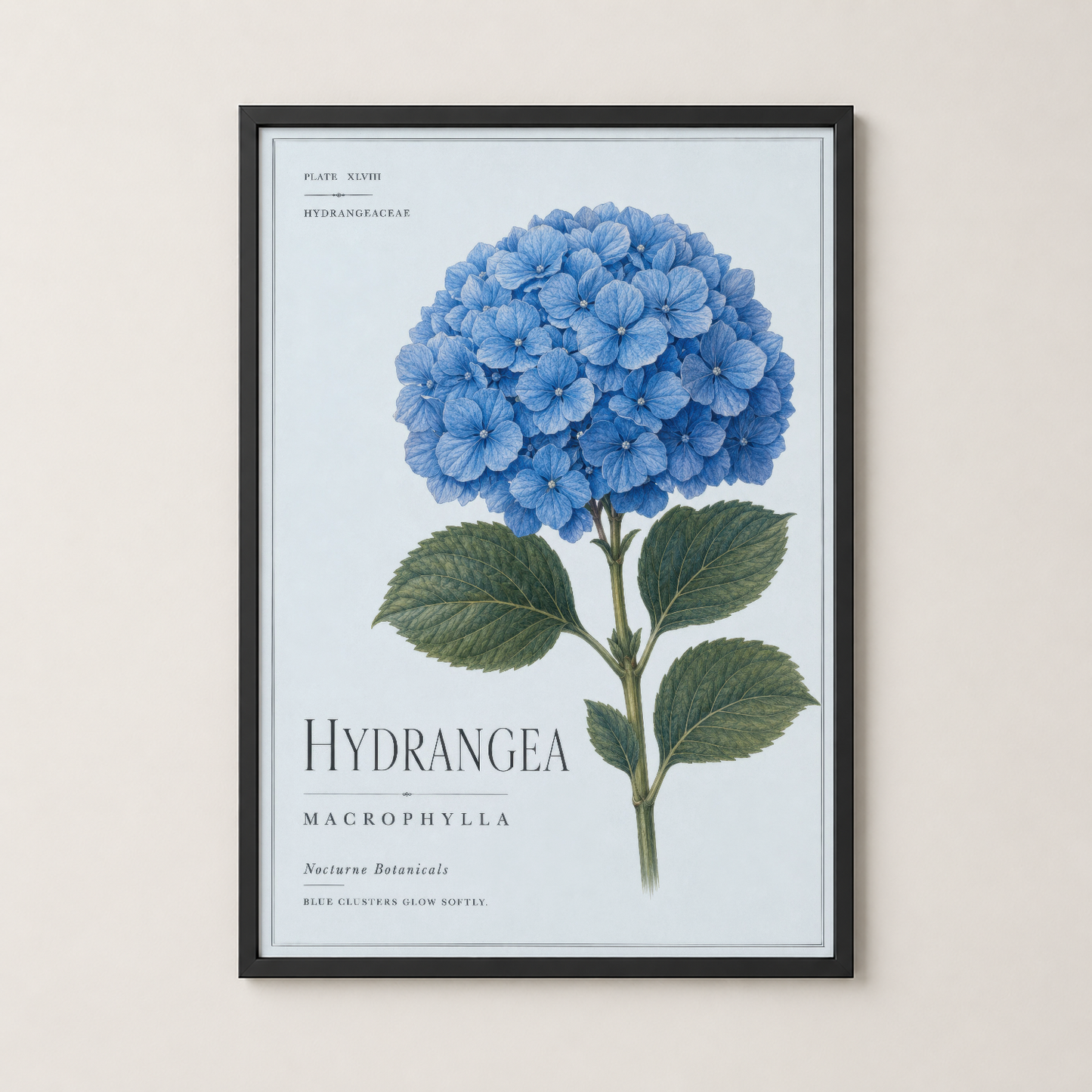 Siyah çerçeveli hortensia tablosu, modern bir duvar dekorasyon parçası olarak sergileniyor.