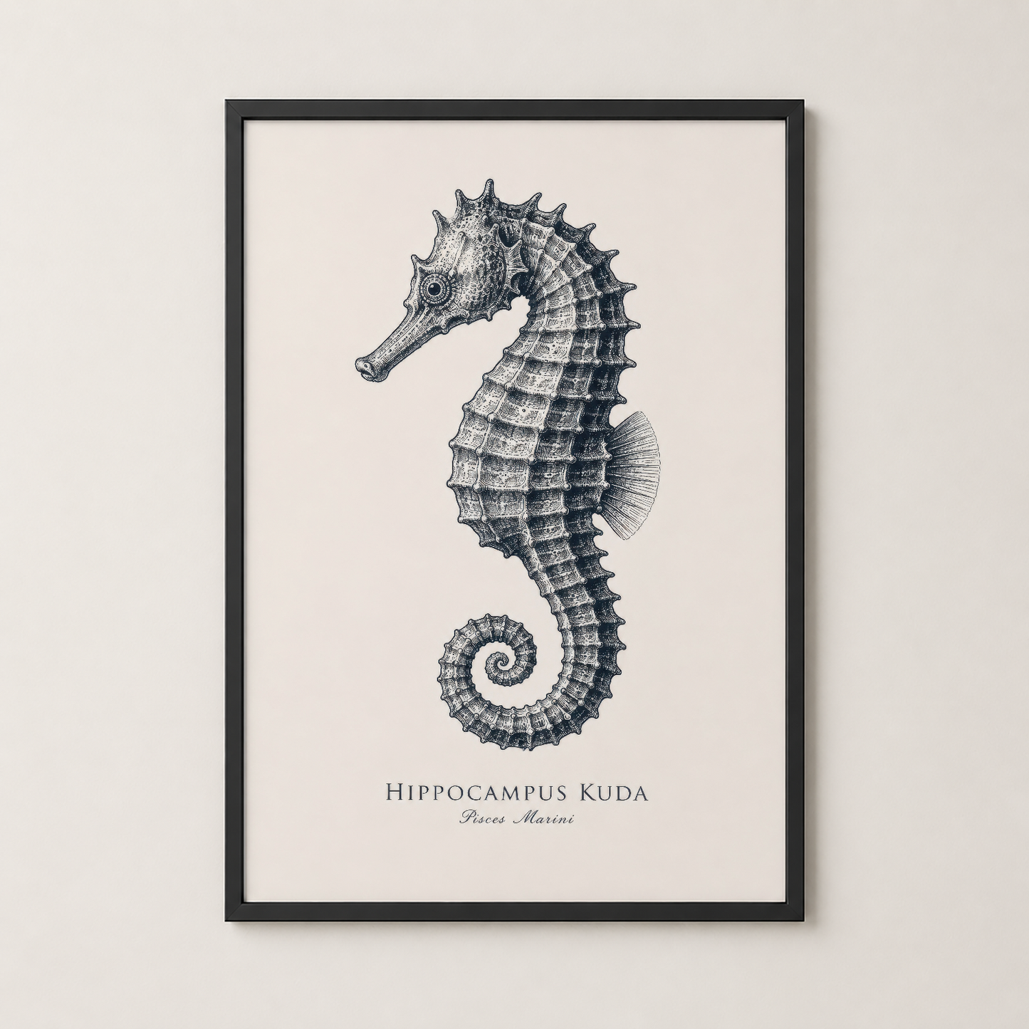 Hippocampus kuda tablosu siyah çerçevede, oturma odasında zarif bir deniz canlısı sanat eseri.