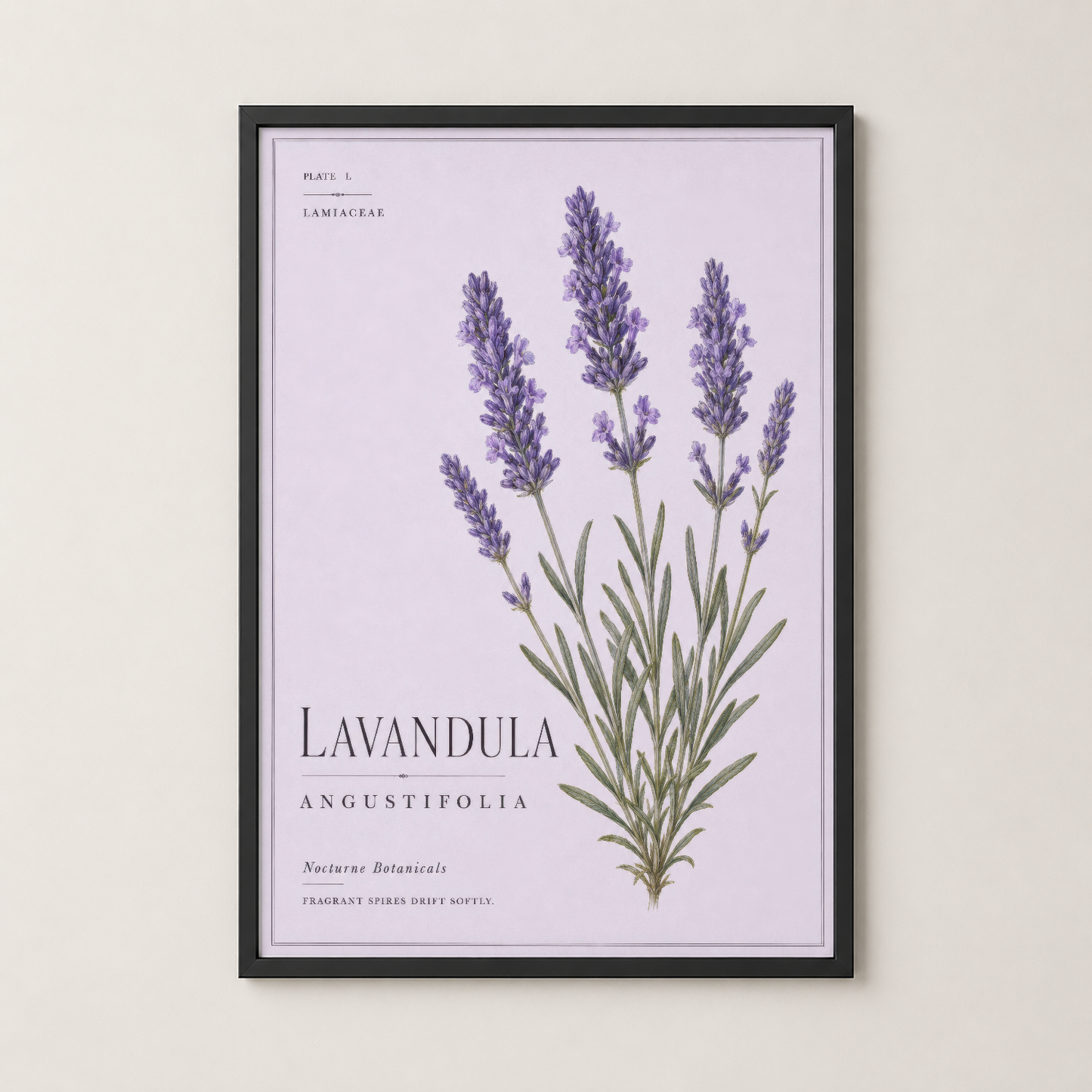 Lavandula Angustifolia tablosu siyah çerçevede, modern ve şık bir duvar dekorasyonu.