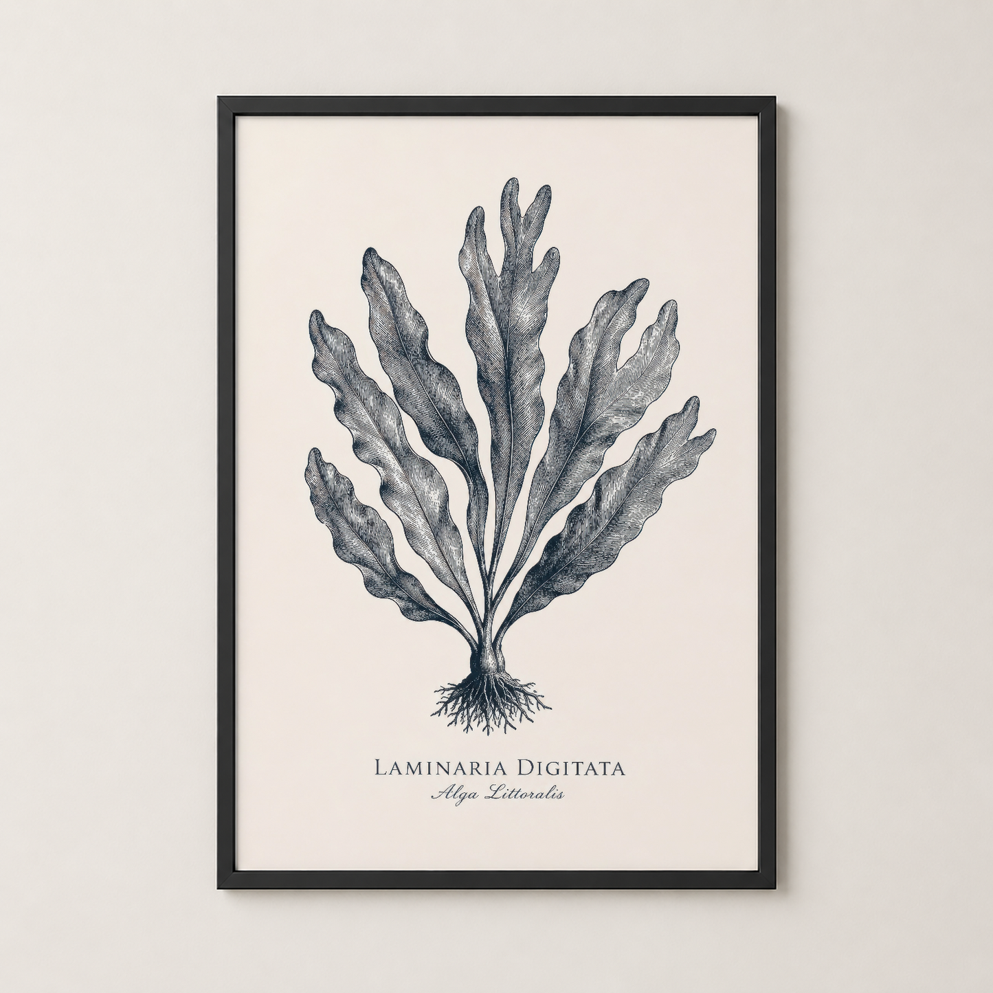 Laminaria Digitata deniz bitkisi tasarımlı poster, siyah çerçeveli duvar dekorasyonu, minimalist stil.