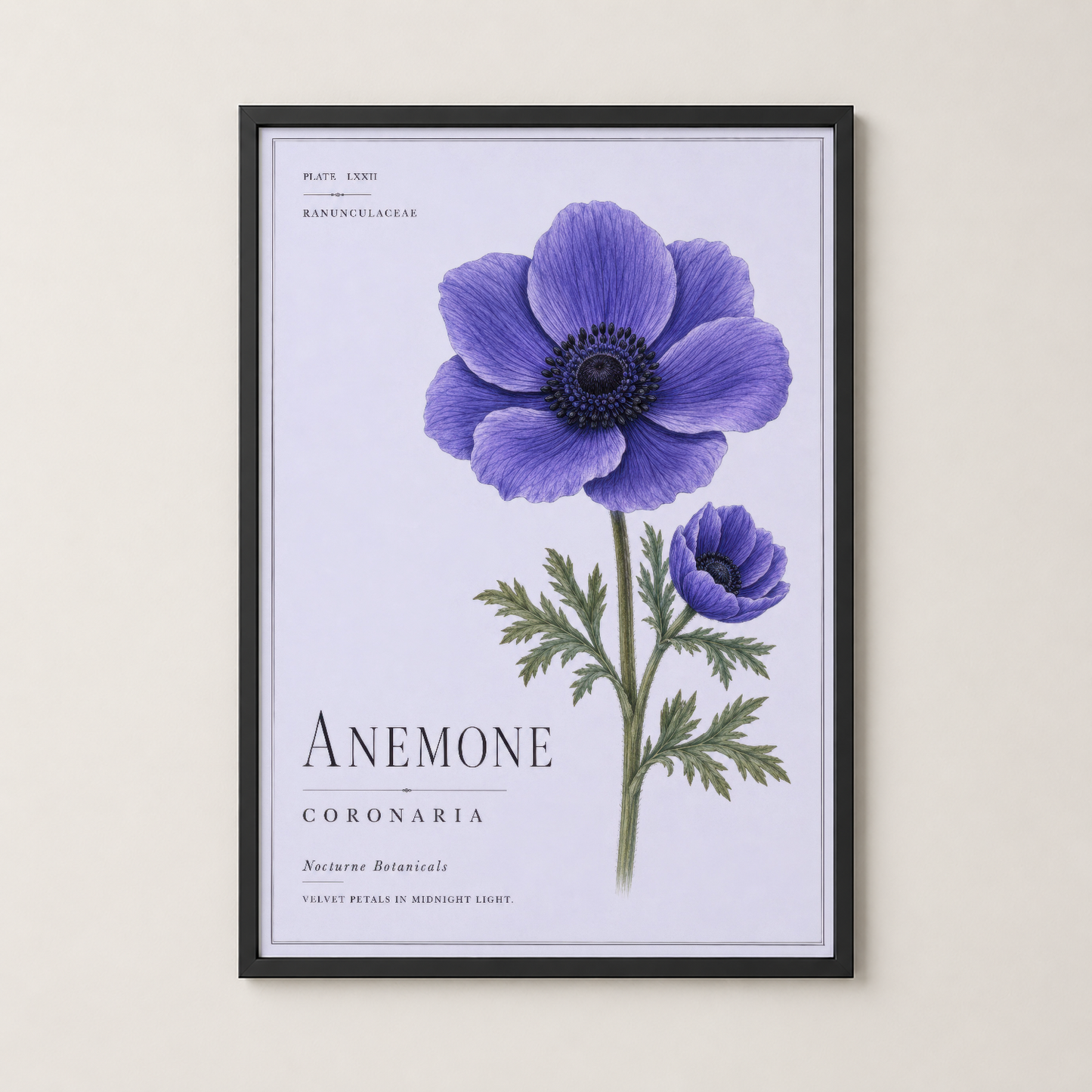 Siyah çerçeveli mor anemone tablosu, modern iç mekanda sanat koleksiyonunun odak noktası.